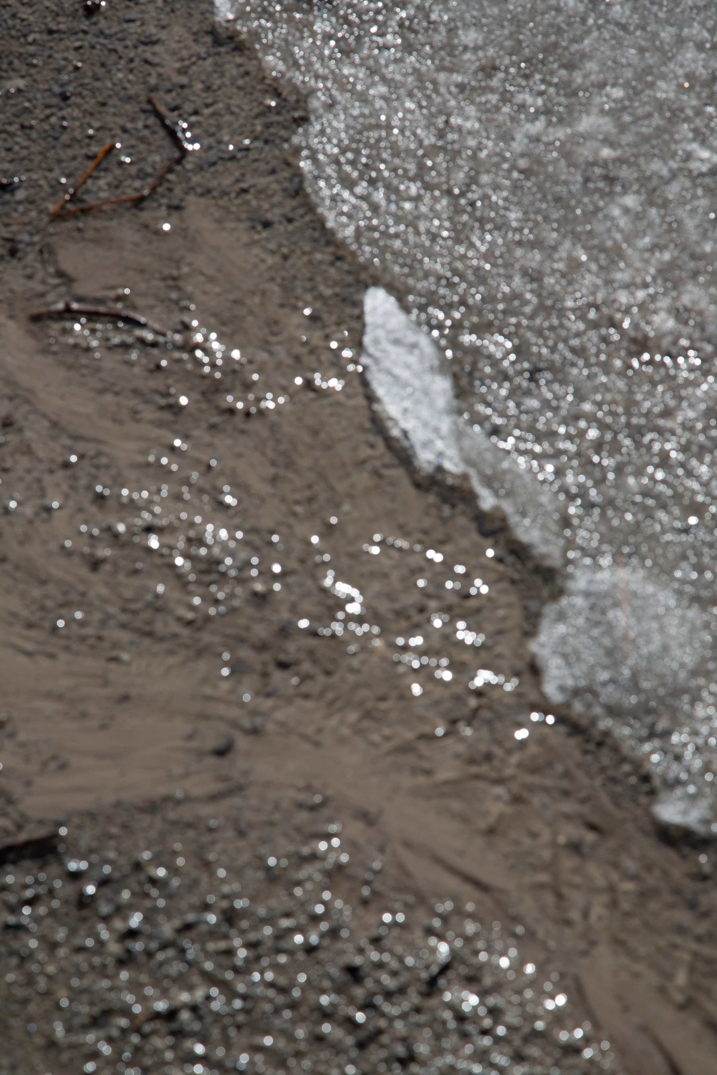 Close-up of wet sandy beach with foam from ocean waves.