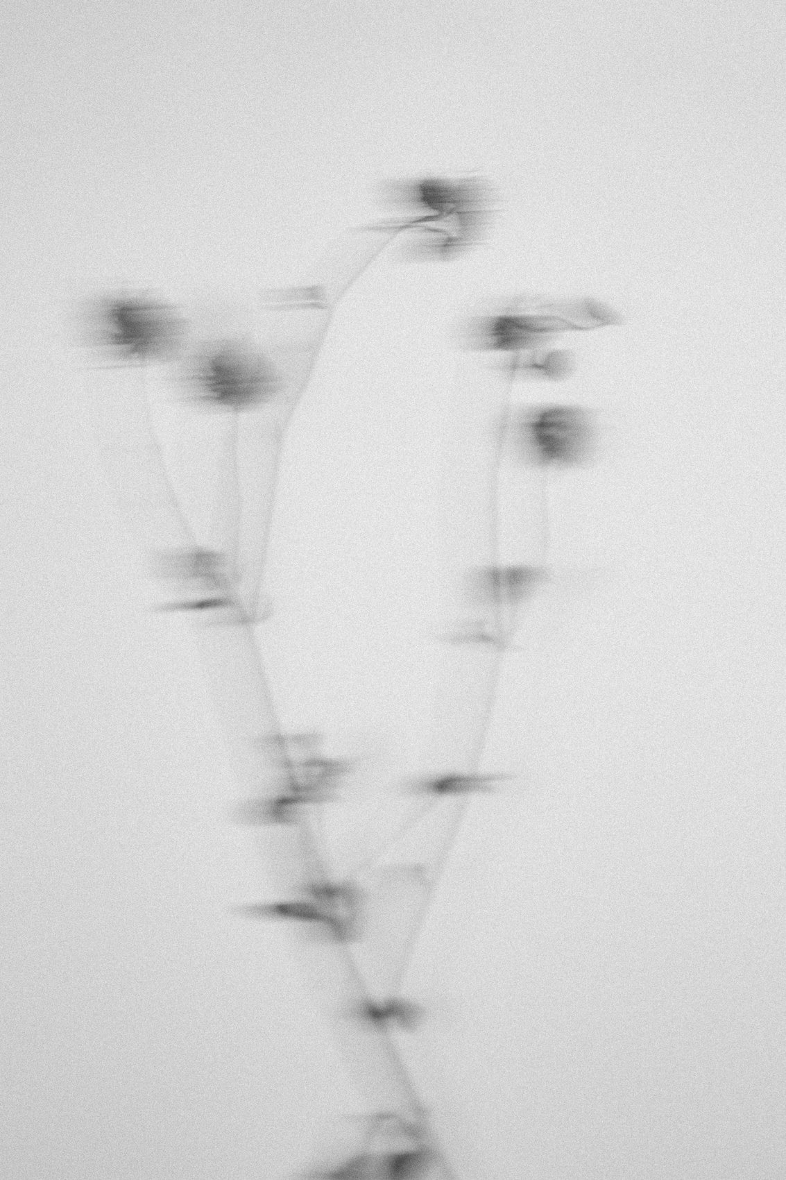 Narrative10.30.16-263.jpg