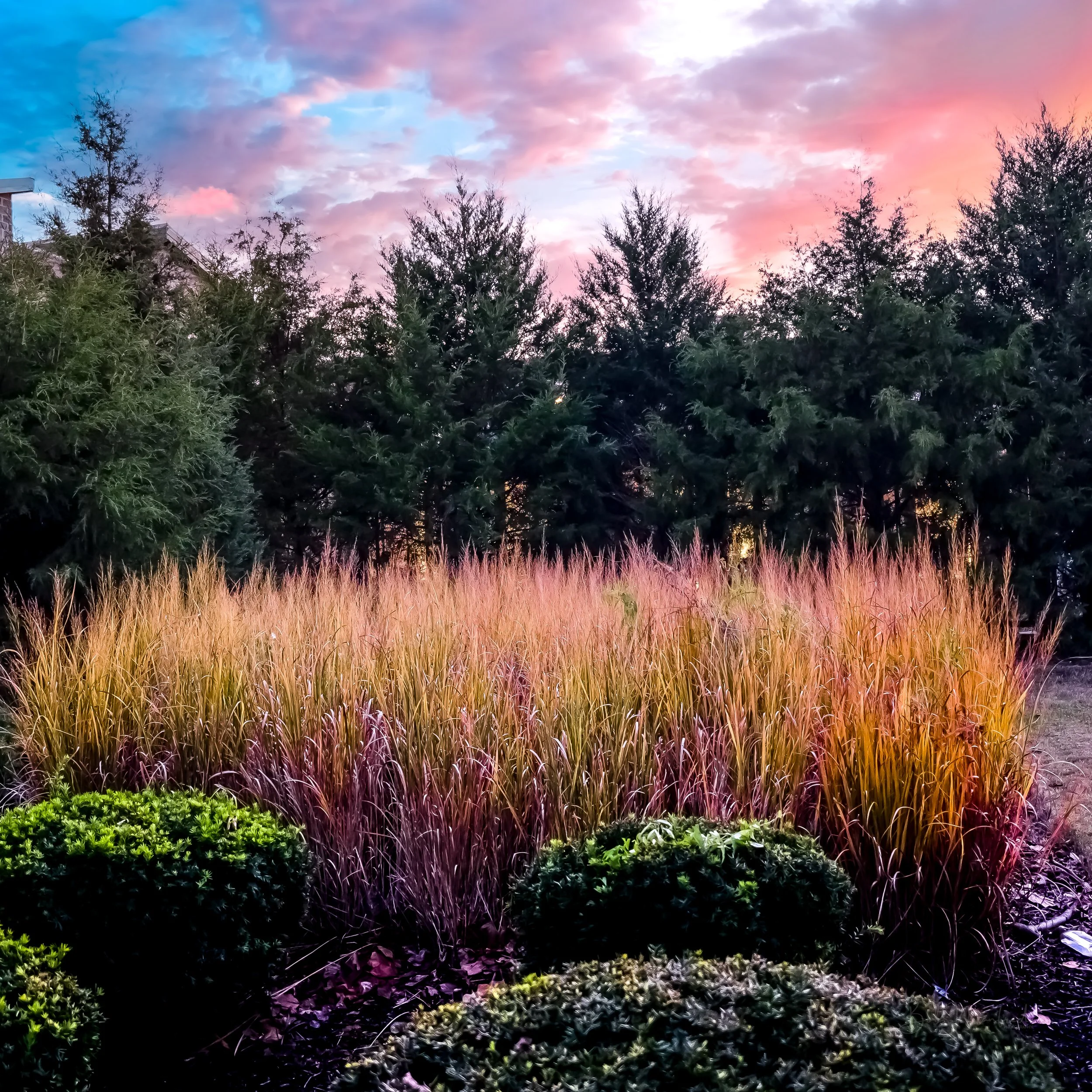 Sunset Landscapes Nashville