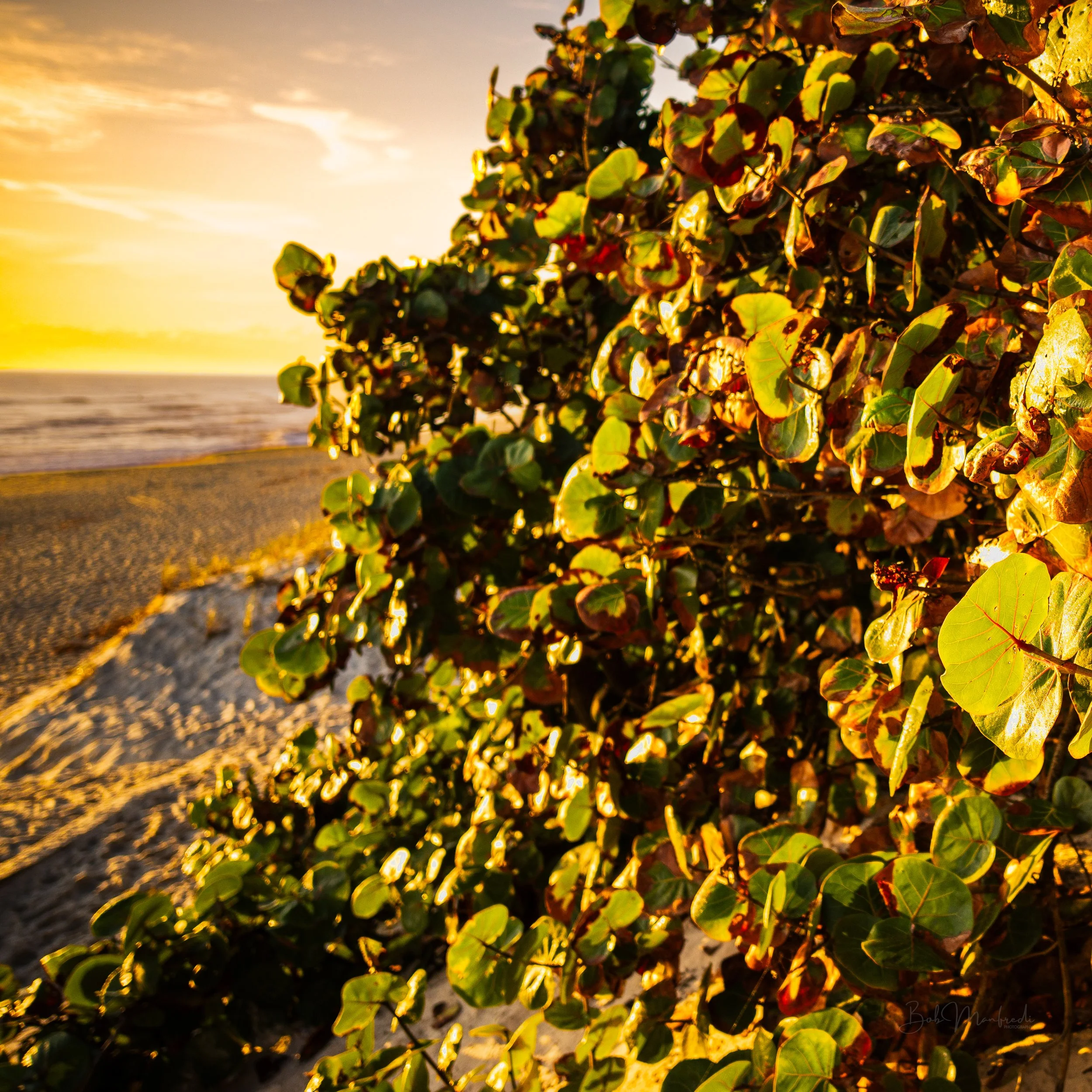 Dunes at Sunrise Melbourne FL