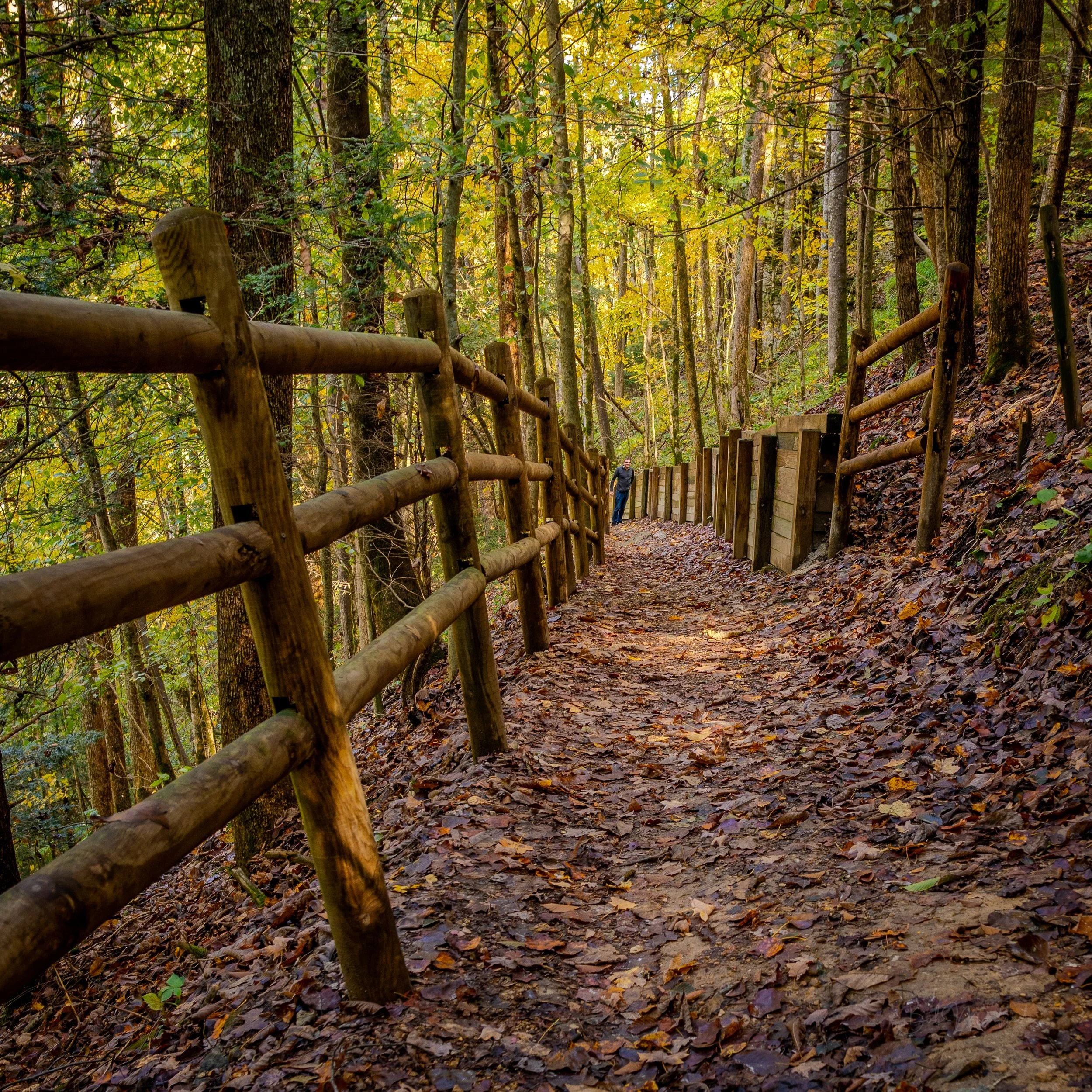 Fall walks though Tennessee State Park