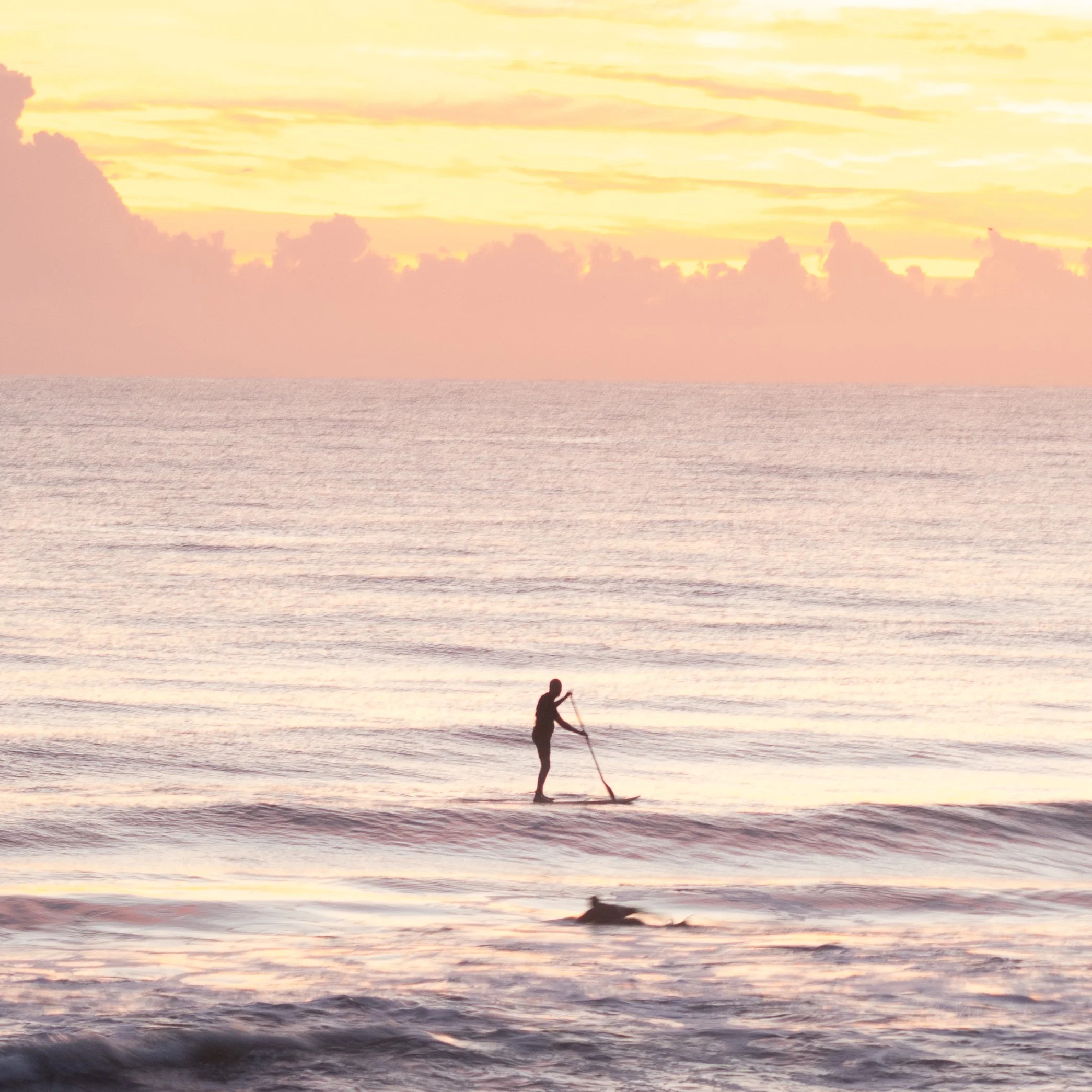 Sunrise Paddle Florida
