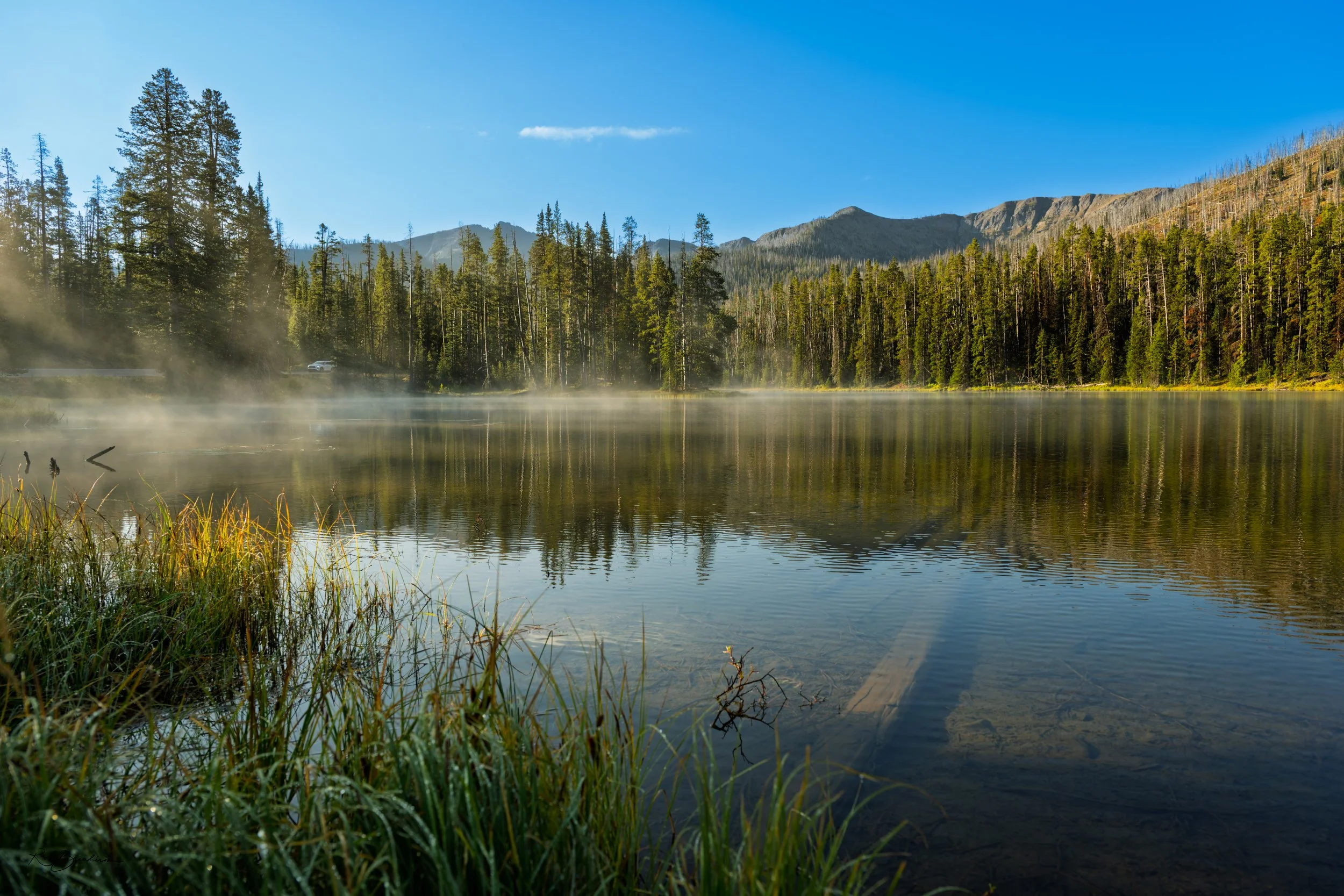 A calm mountain lake surrounded by dense pine trees, with mist rising from the water and mountains in the background under a clear blue sky.