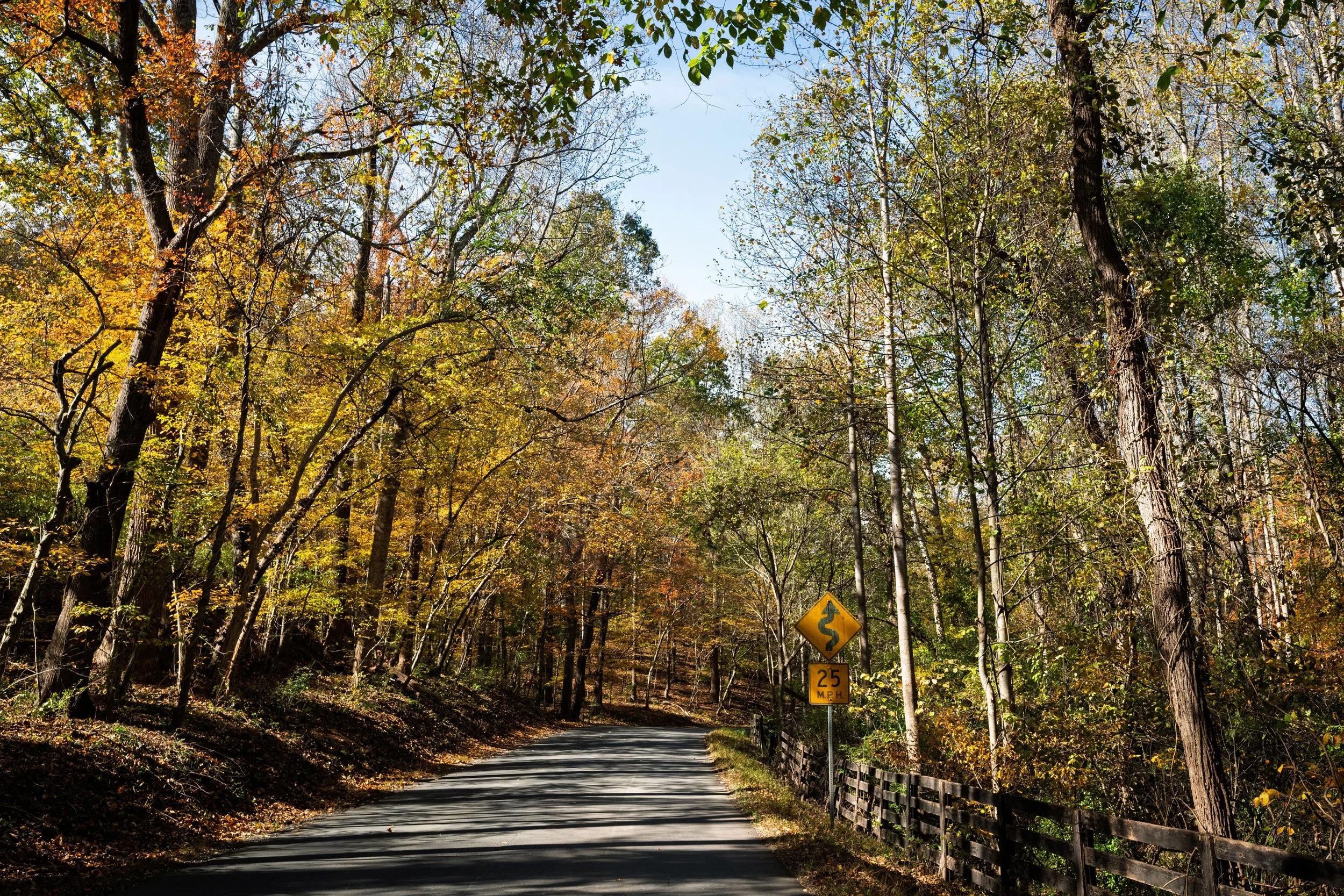 A winding country road through a forest with fall foliage, yellow and orange leaves, a road sign indicating winding road and a speed limit of 25 mph.