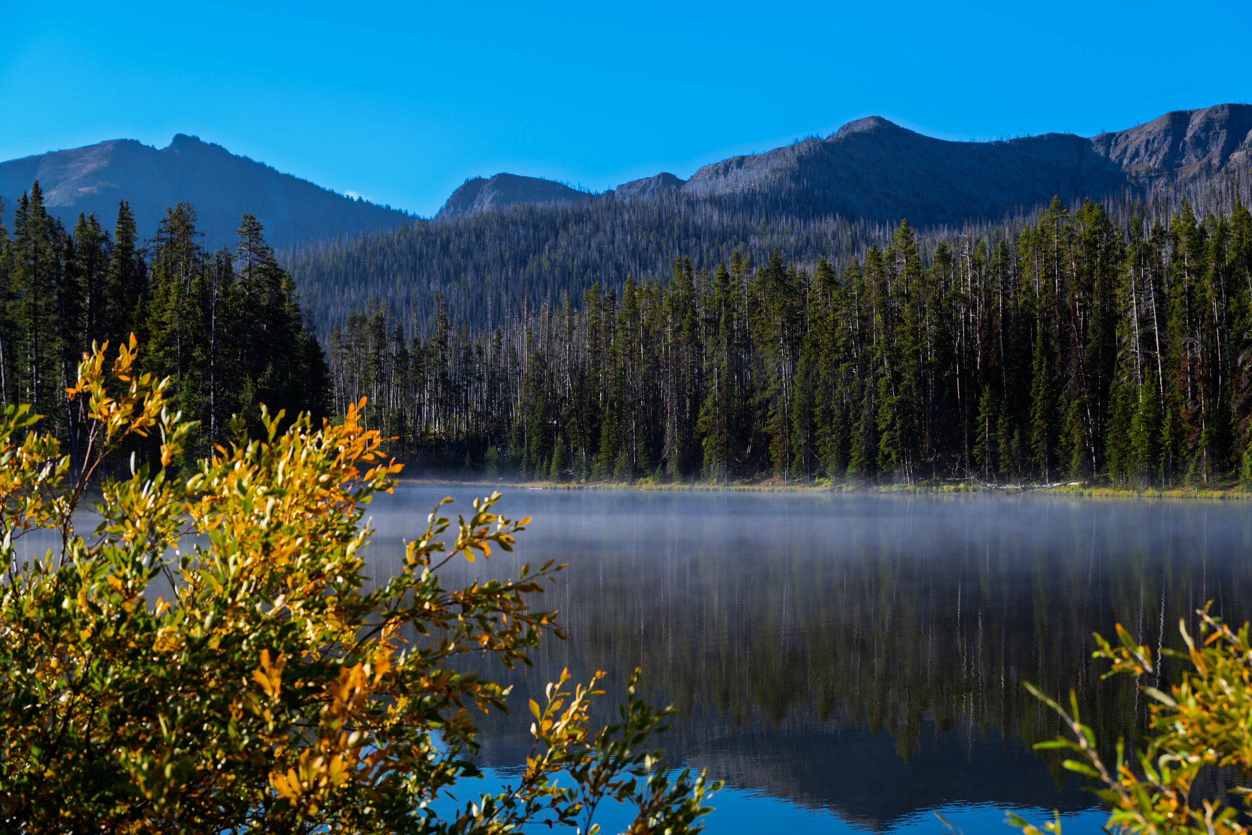 A scenic view of a mountain lake surrounded by evergreen trees, with mountains in the background and a clear blue sky.