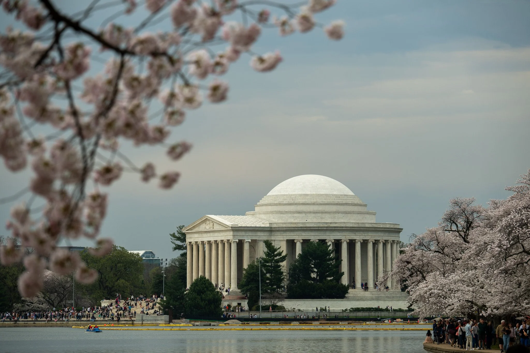 The Lincoln Memorial surrounded by cherry blossom trees on the National Mall in Washington, D.C.