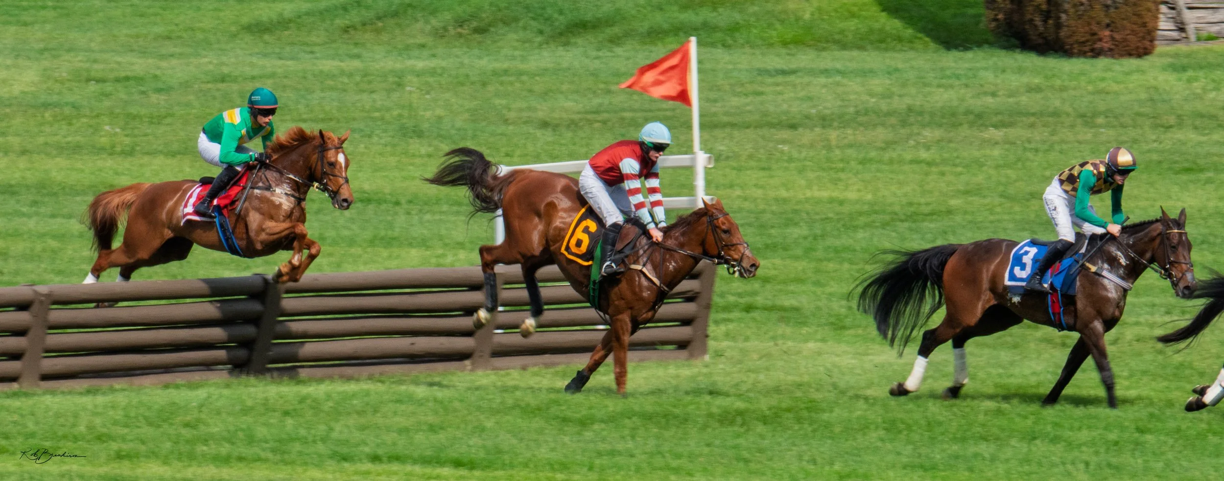 Virginia Gold Cup race with three jockeys riding on a grassy track, with one horse jumping over a barrier, and a red flag indicating the race course boundary.
