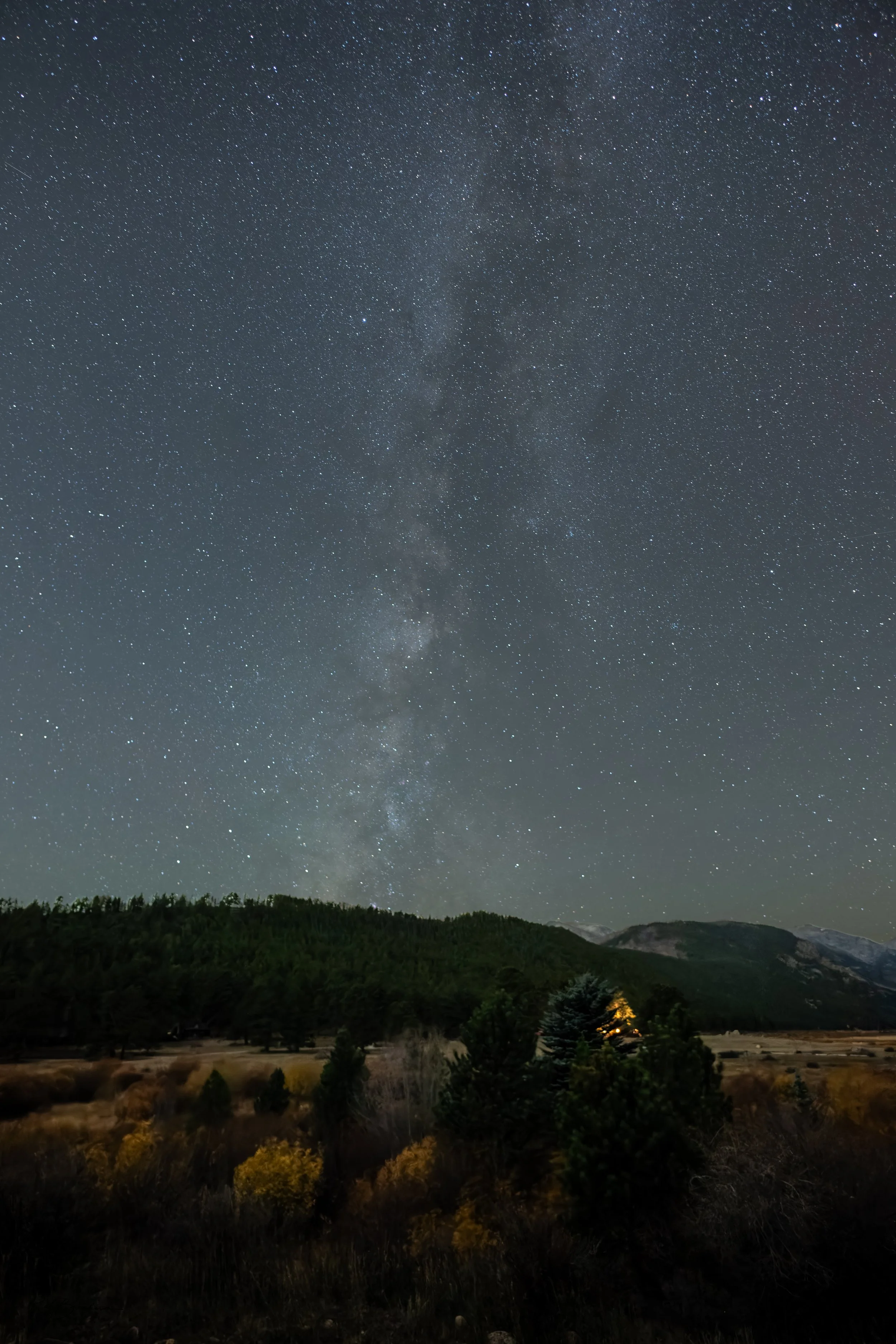 Nighttime landscape with a star-filled sky and the Milky Way galaxy visible above a forested hillside and distant mountains.