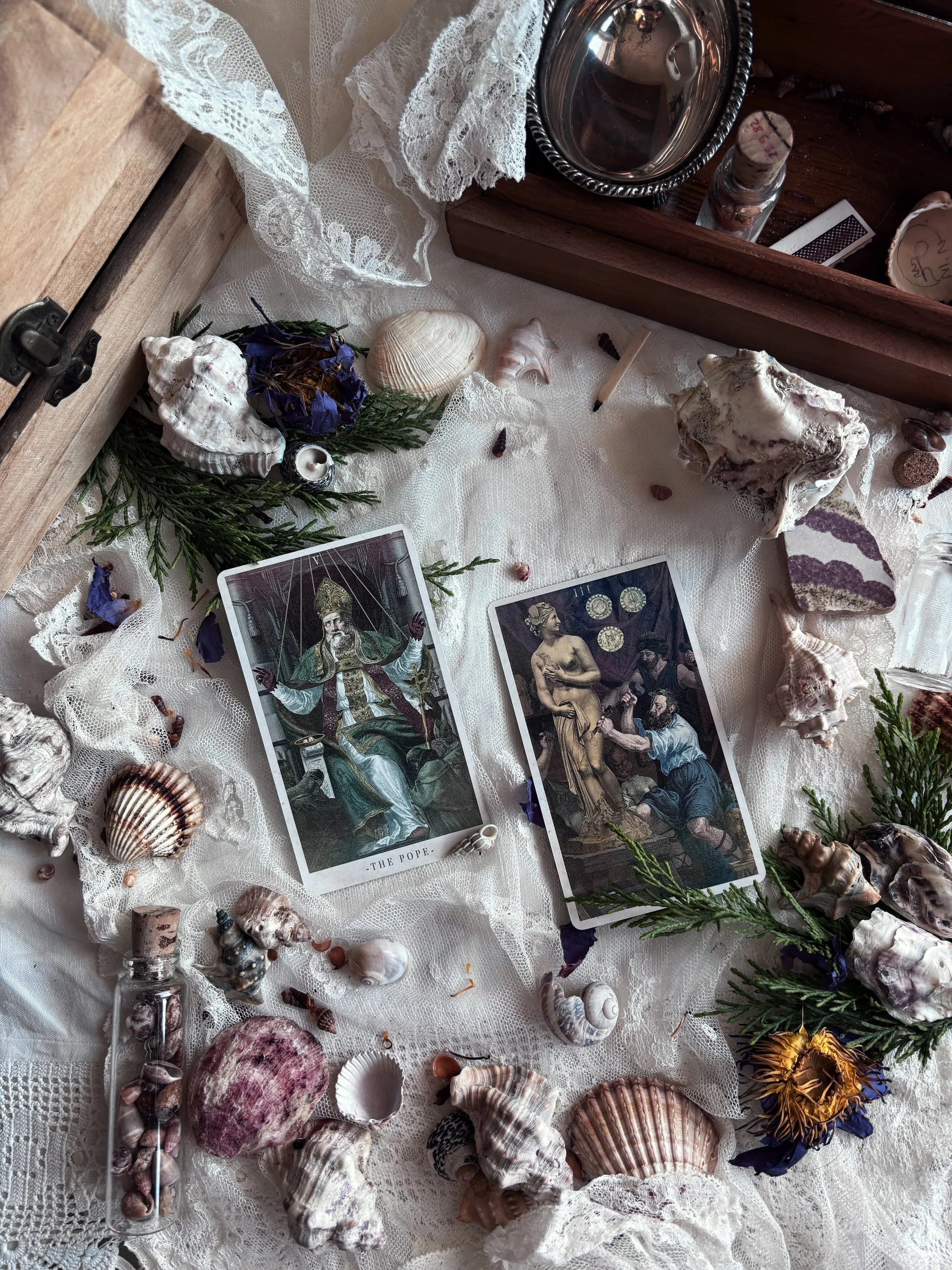 A tarot card reading setup with seashells, dried flowers, green foliage, crystals, and lace fabric, featuring two tarot cards, 'The Pope' and a classical scene, arranged on a lace-covered surface.