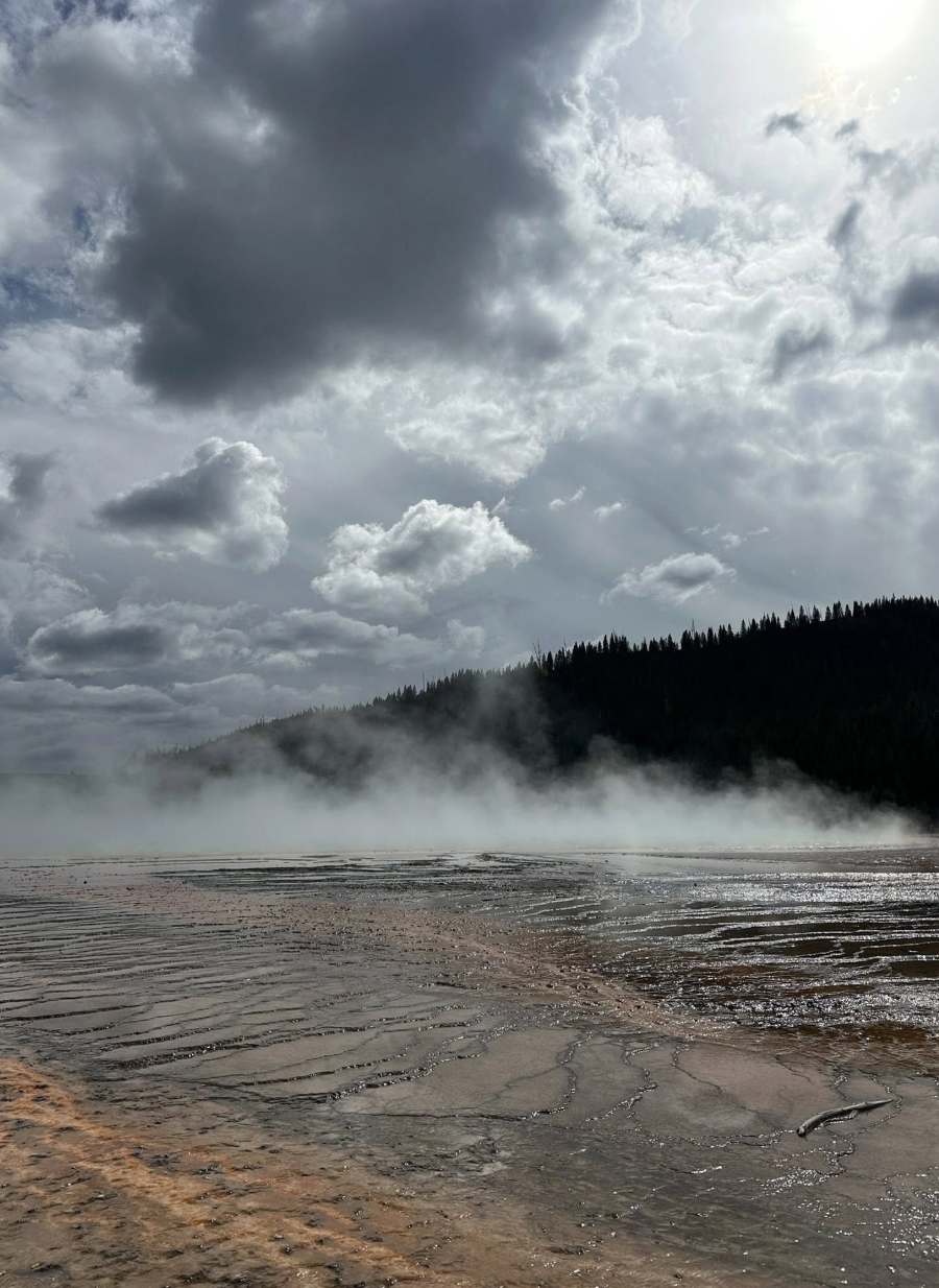 A picturesque landscape