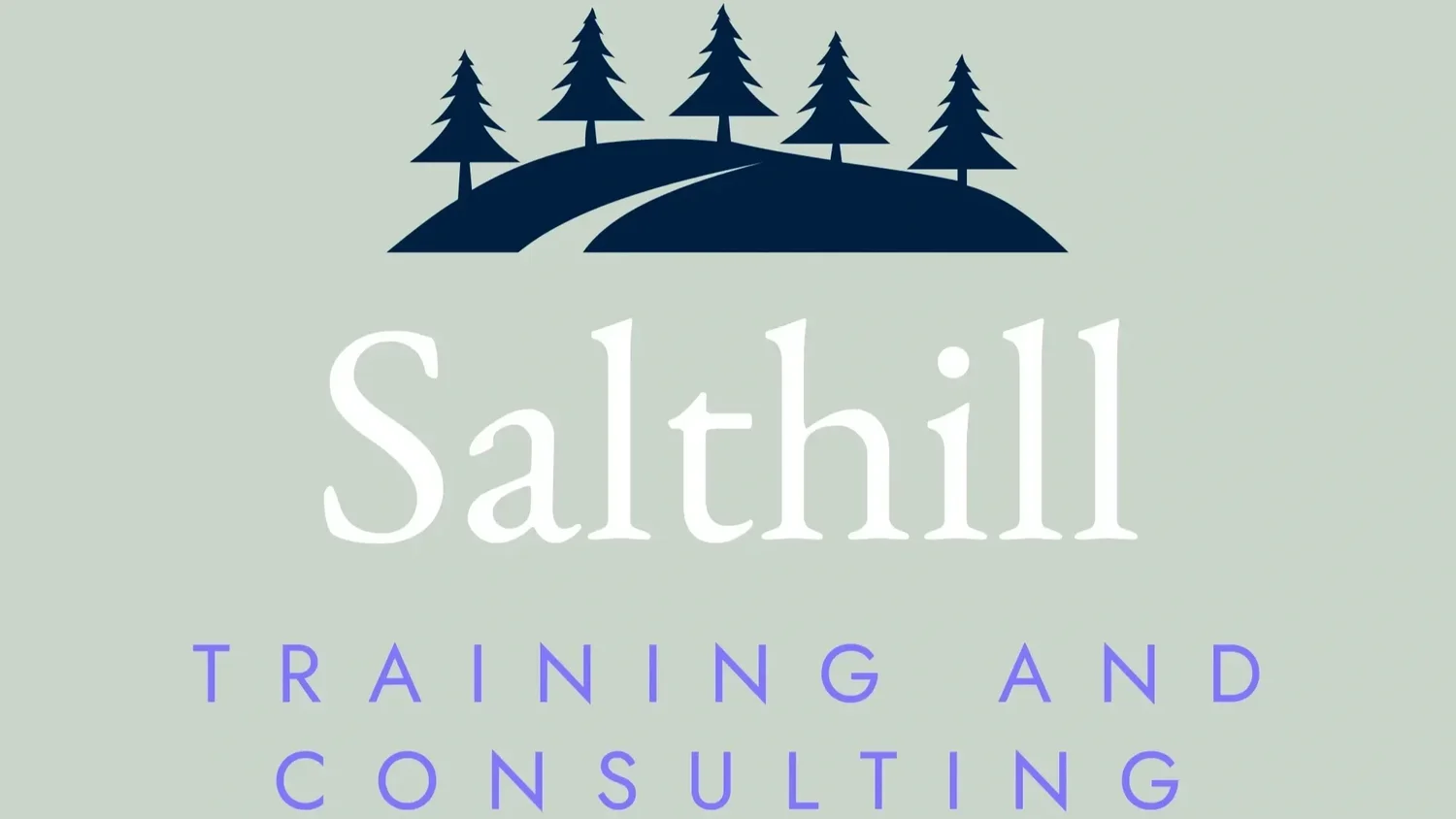 Salthill Training and Consulting 