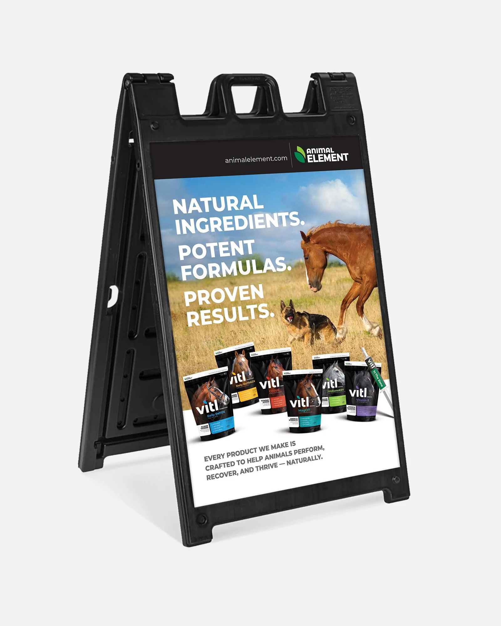 Deluxe Signicade A-Frame