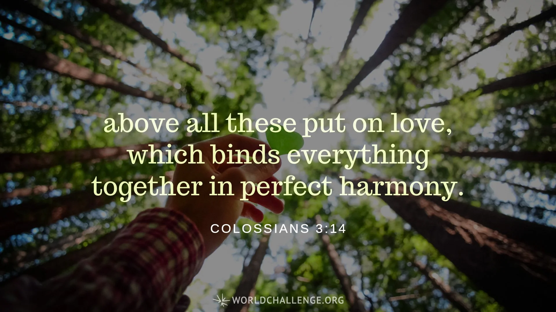 Put On Love: The Relational Aspect Of Our Sanctification