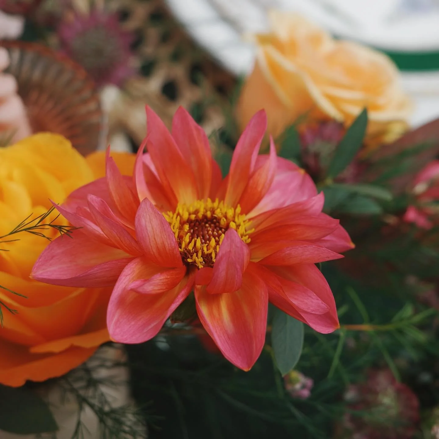 Those around me know that dahlias are my absolute favourite flower. I think if you&rsquo;d asked me in the past, I would have said peonies or tulips, but there is something so playful, so joyous about the dahlia. Perhaps it&rsquo;s the bright oranges
