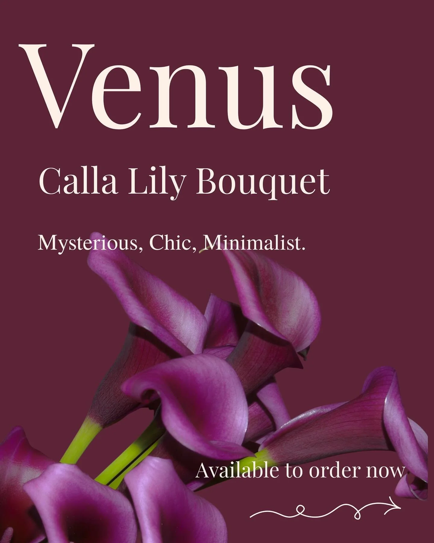 Valentine&rsquo;s Bouquets are here 💜

Venus - she&rsquo;s a beauty. Something for the person who want&rsquo;s something a little different this Valentine&rsquo;s Day. 

Swipe details on how to order.