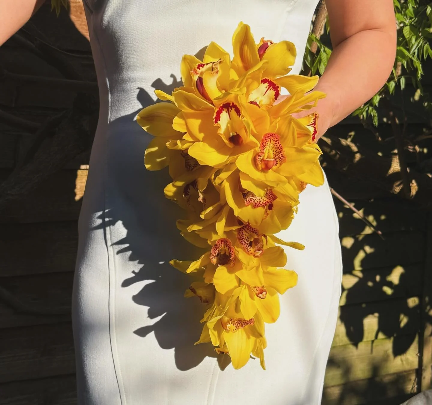 A bouquet of sunshine yellow orchids cascading down on this beautiful day (captured during golden hour)💛☀️

#orchids #bouquet #weddingbouquet