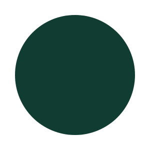 Dark green circle on a white background
