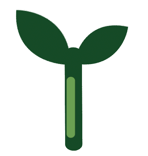 A simple graphic of a young plant with two leaves and a green stem designed by Anastasiya Kim