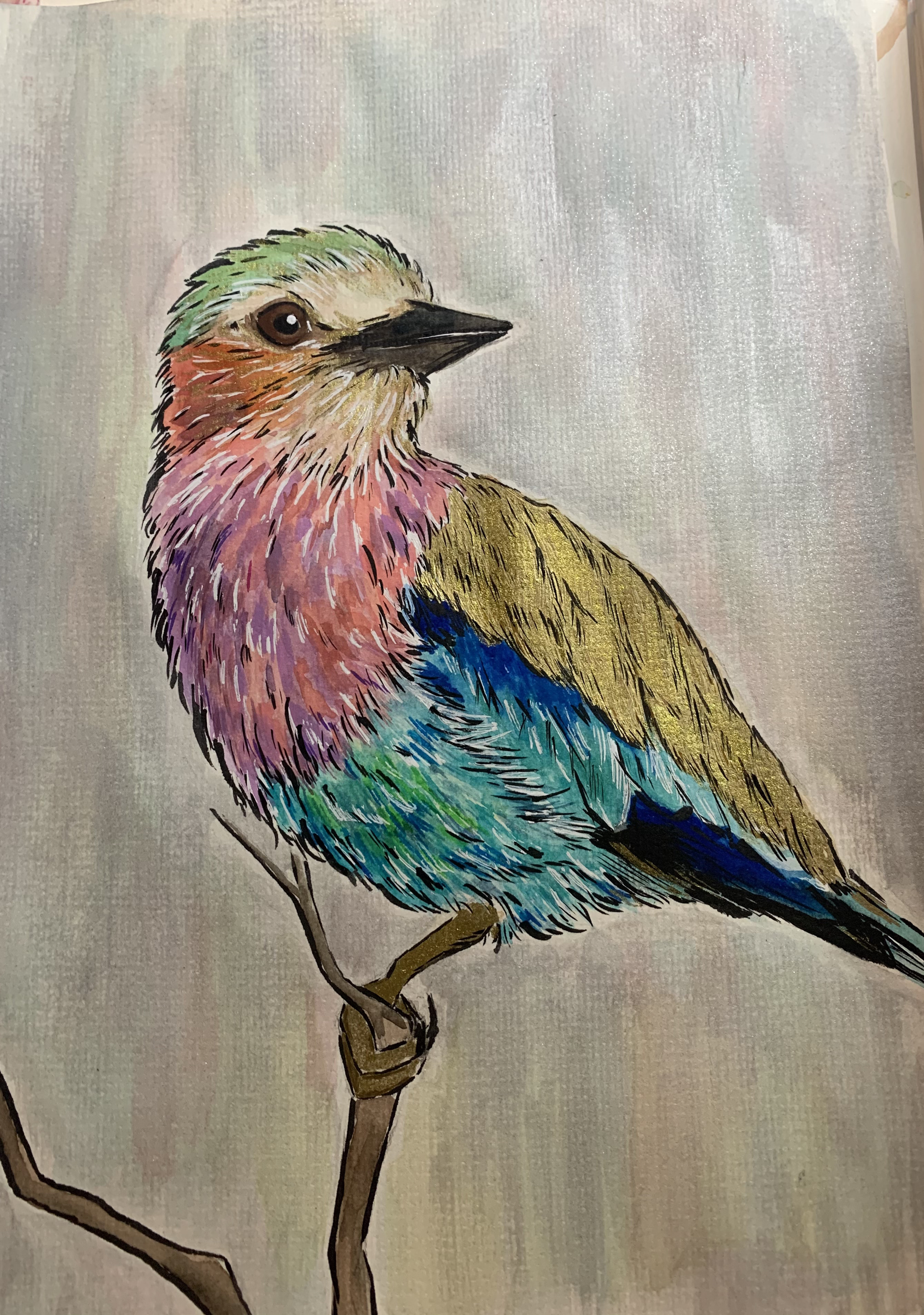 bird art by anastasiya kim