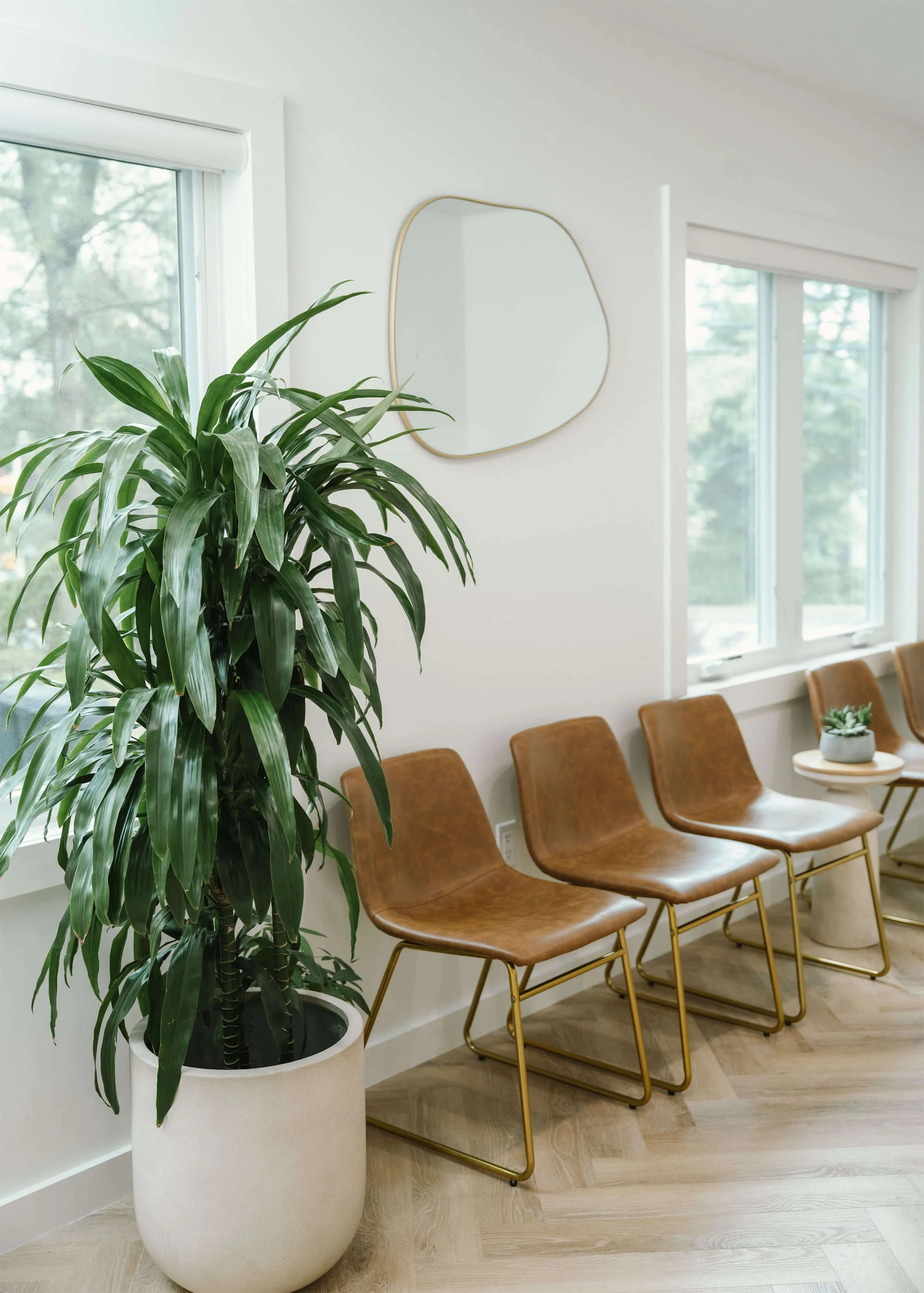 OHANA DENTAL 2025 INTERIOR-EXTERIOR_15.jpg