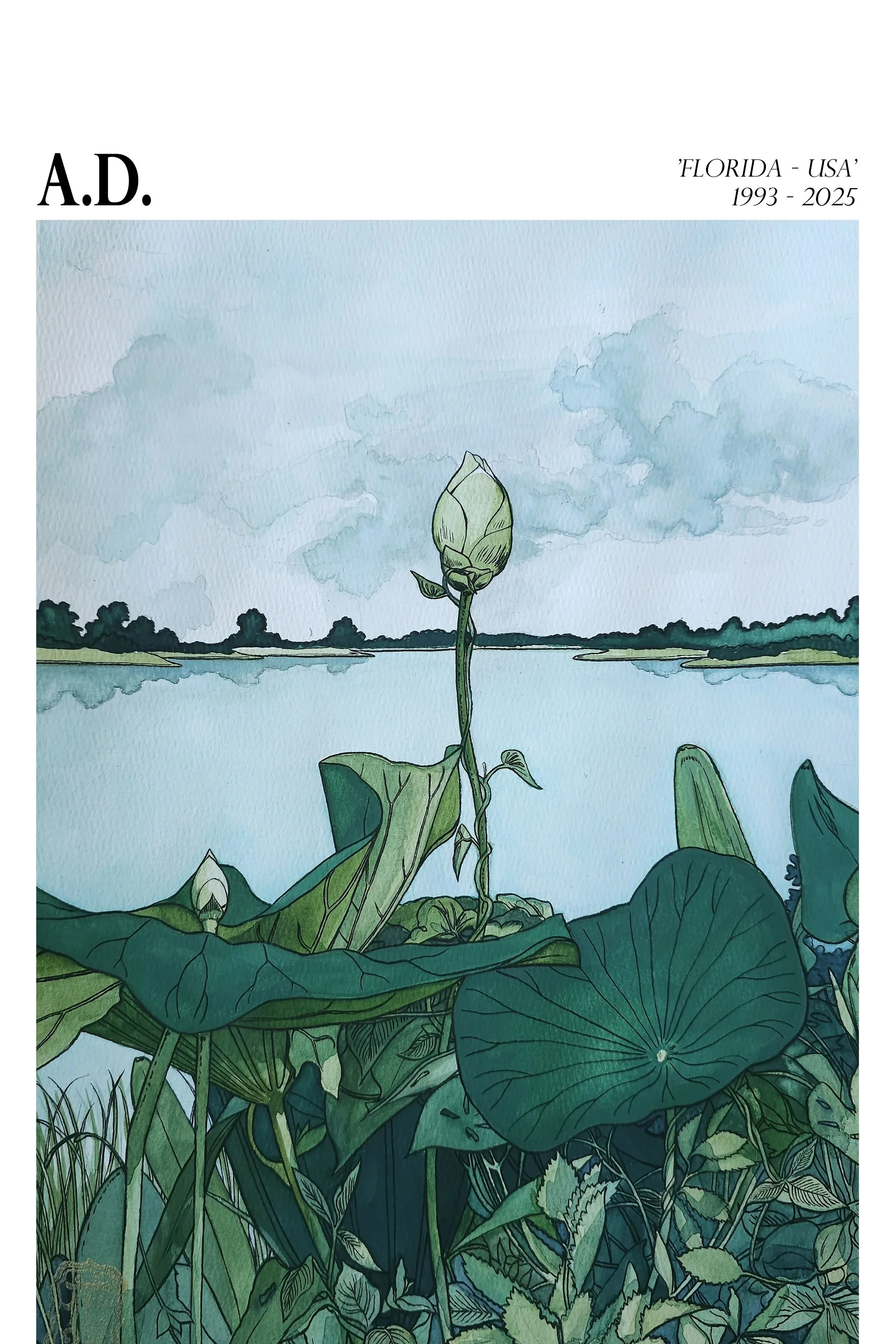 VenetianLotuses13x24.jpg