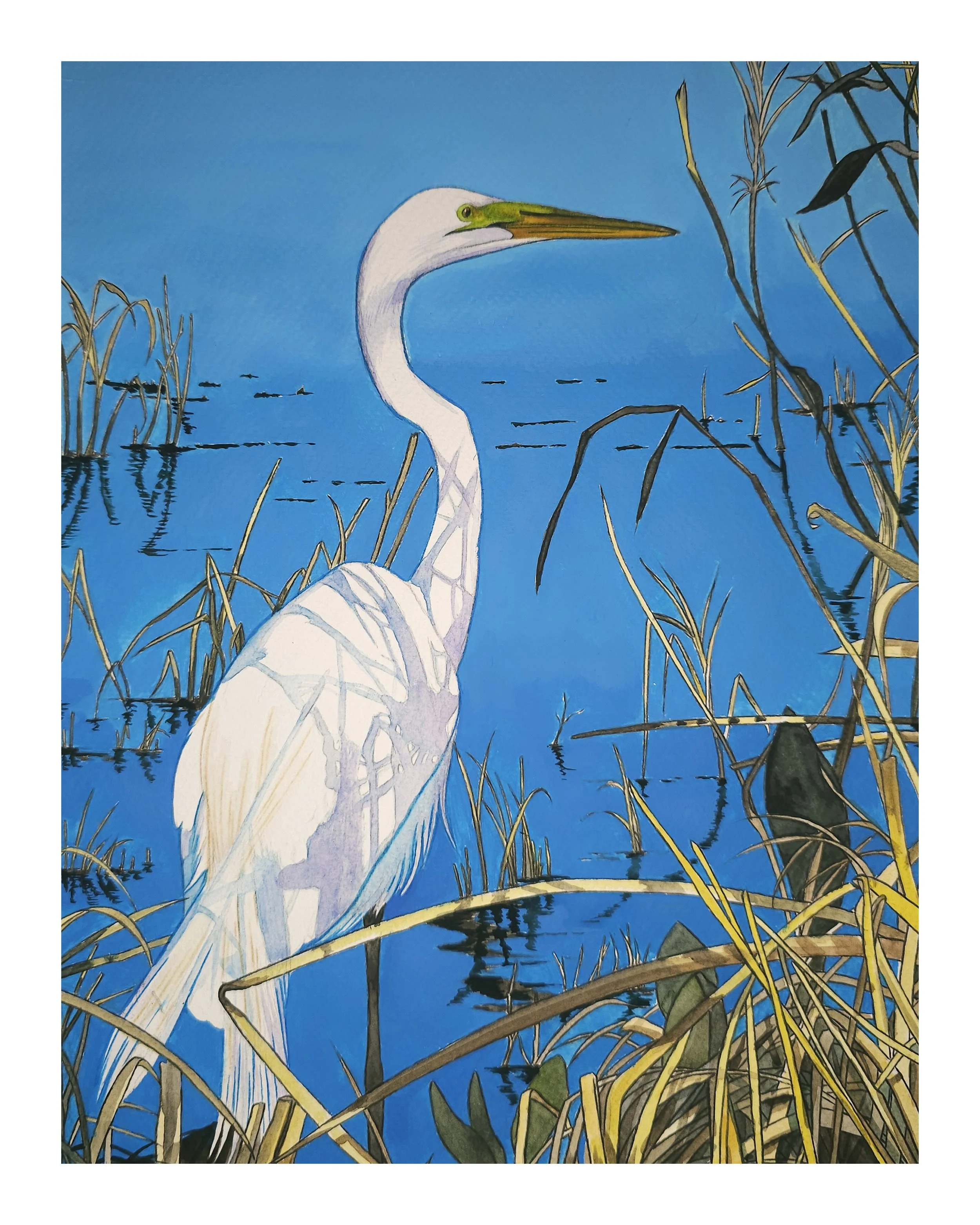AzureReflectionsStandard16x20.jpg