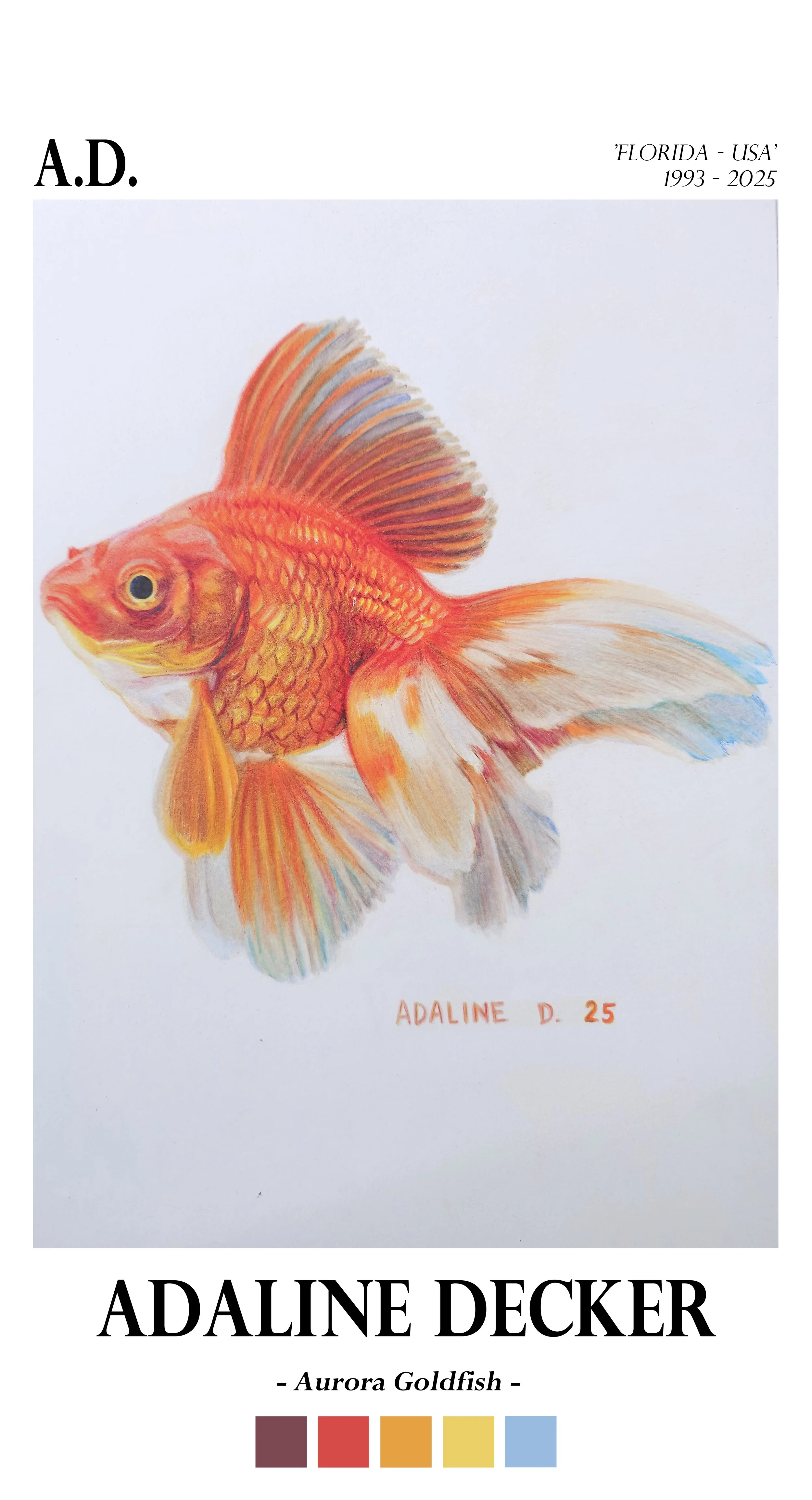 Aurora Goldfish - Fine Art Print - 13"x24"