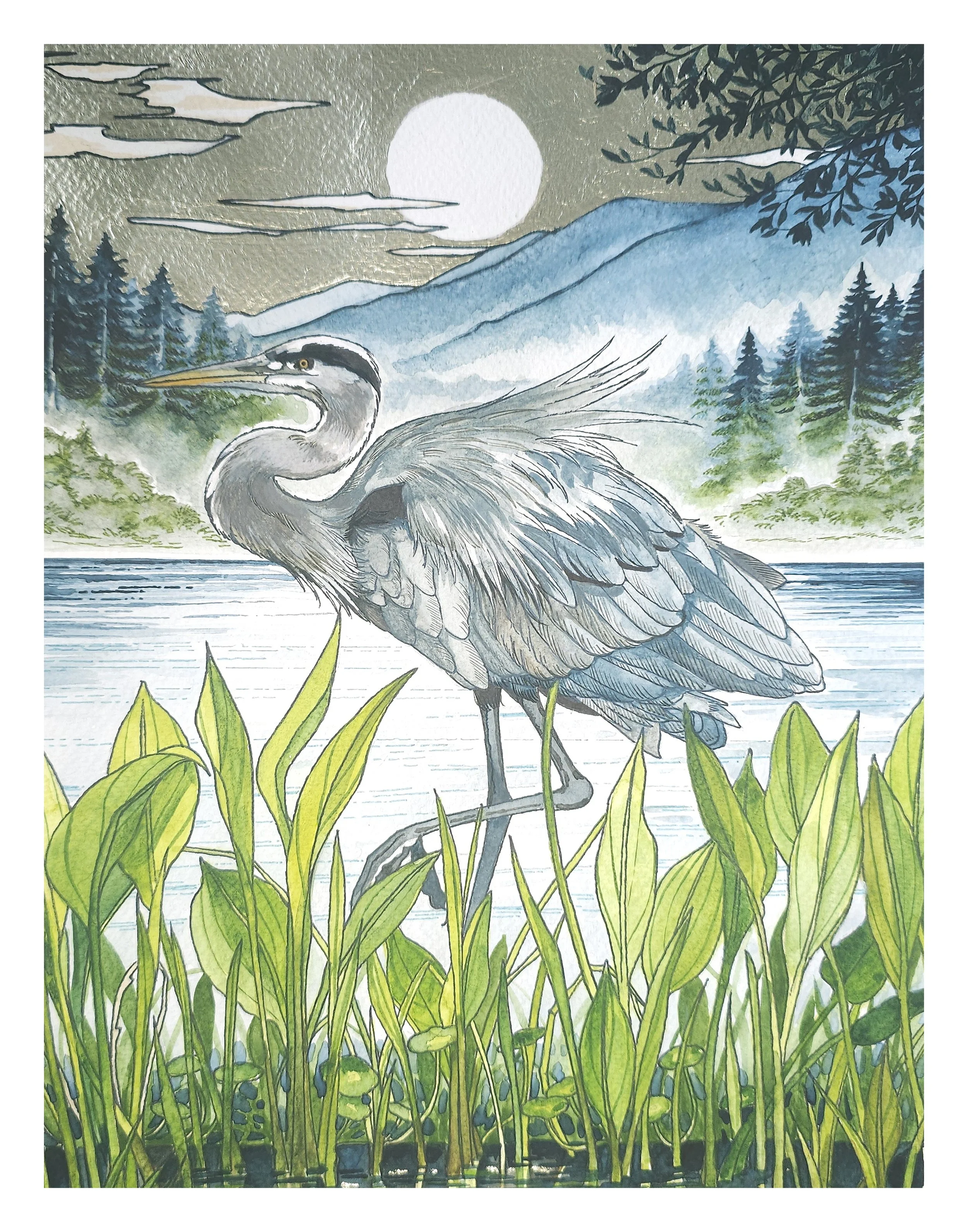 MountainMarshesStandard11x14.jpg