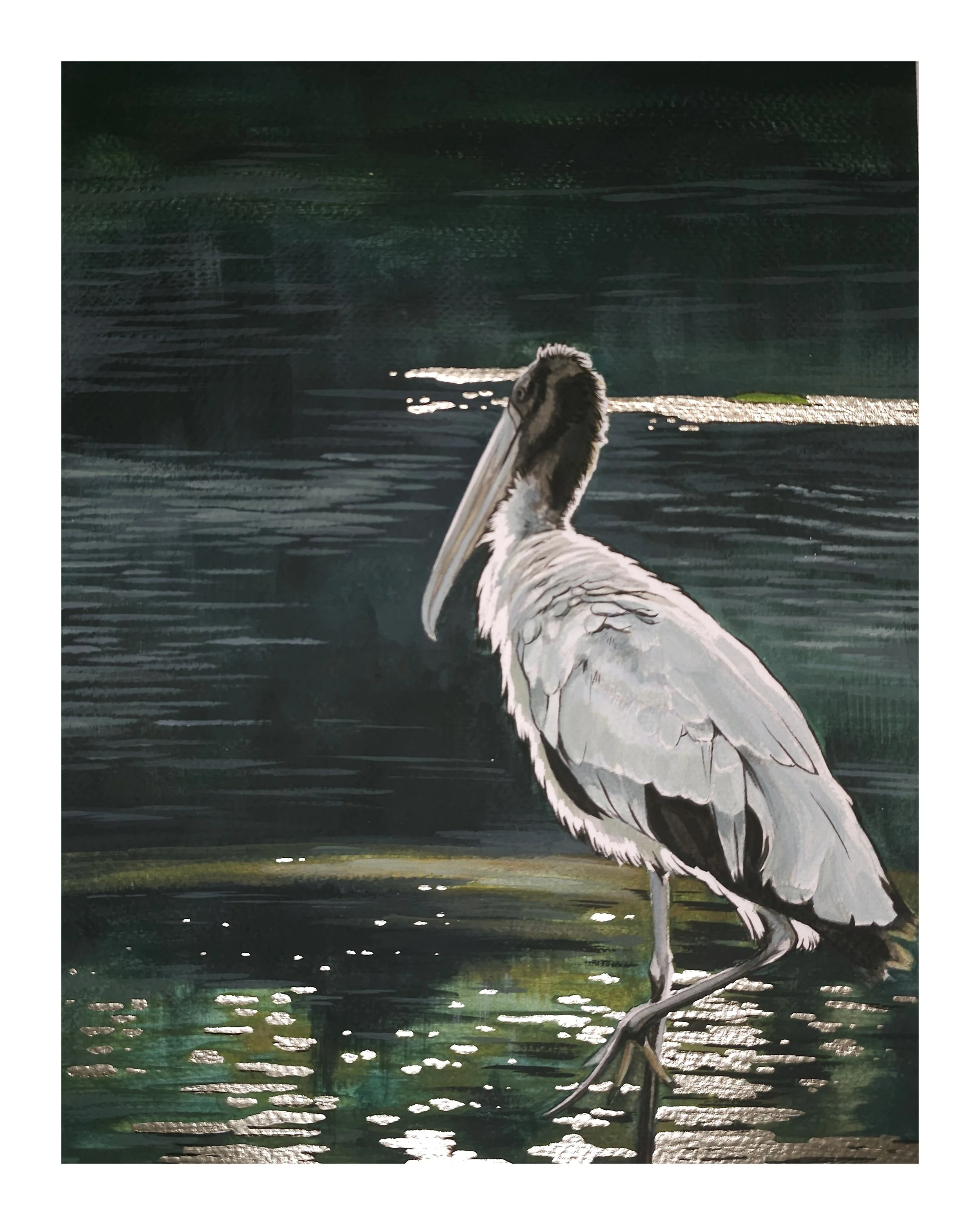 "Golden Harbor" Fine Art Print