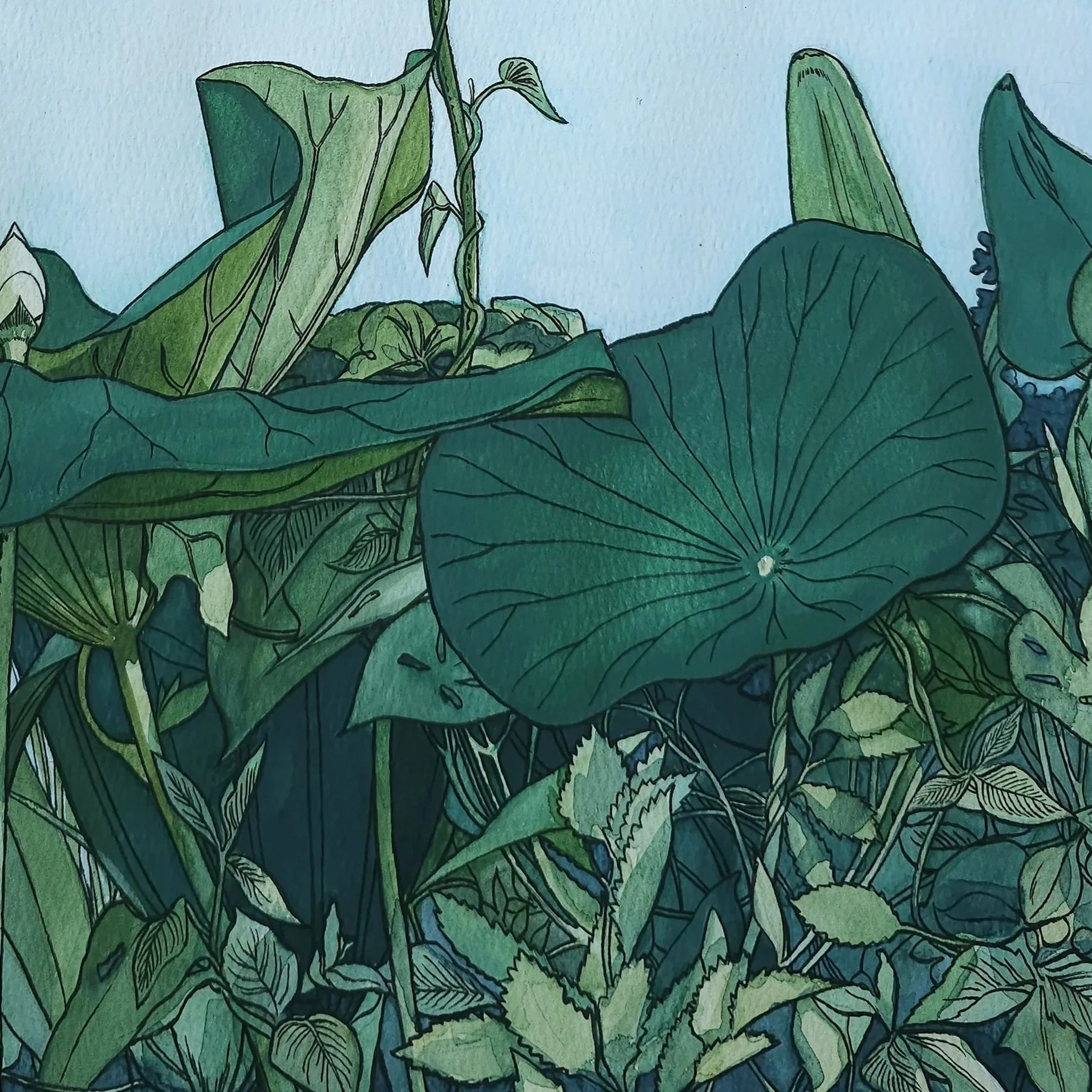 VenetianLotuses13x24.jpg