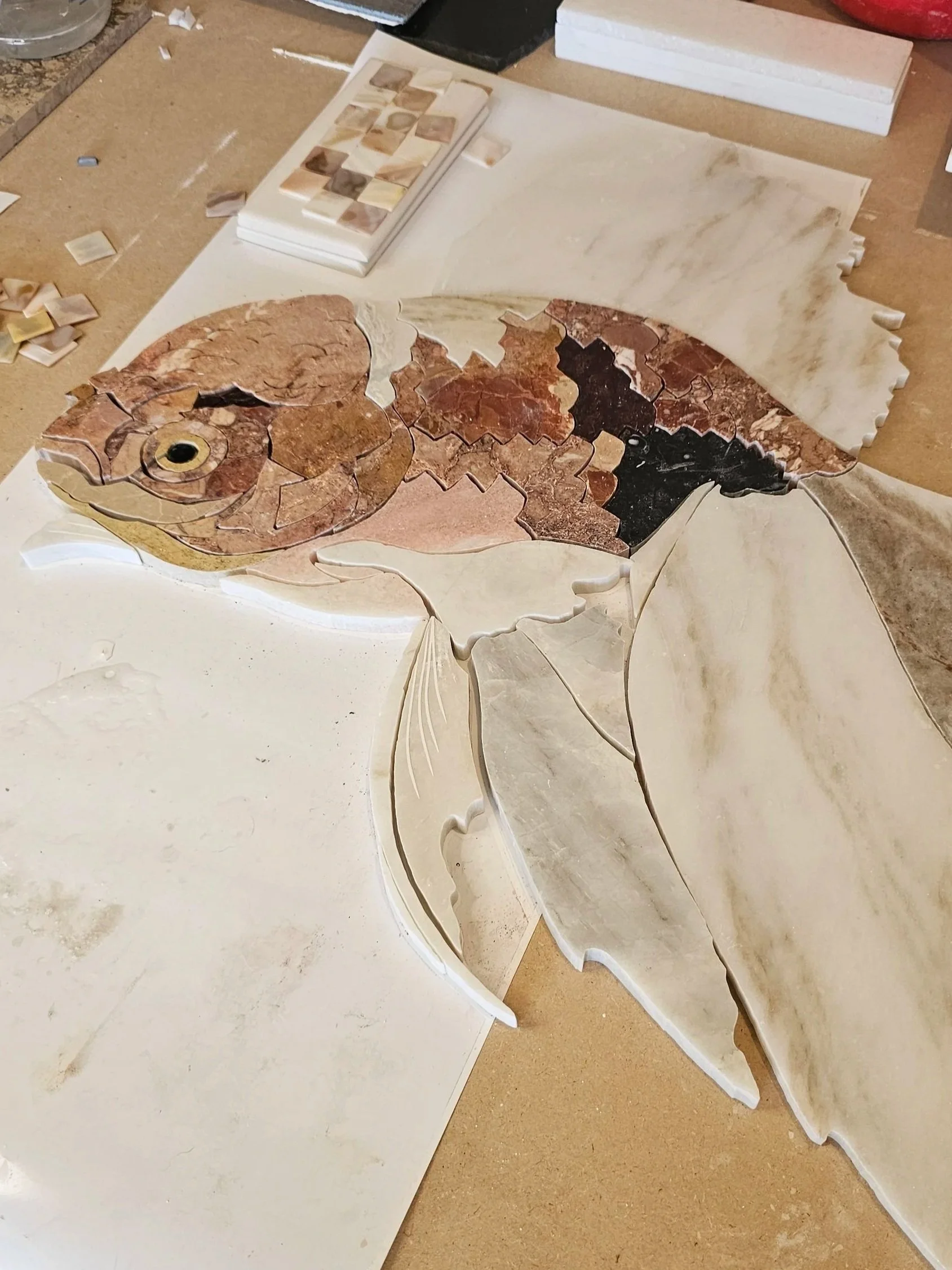 Oranda - Shishigashira