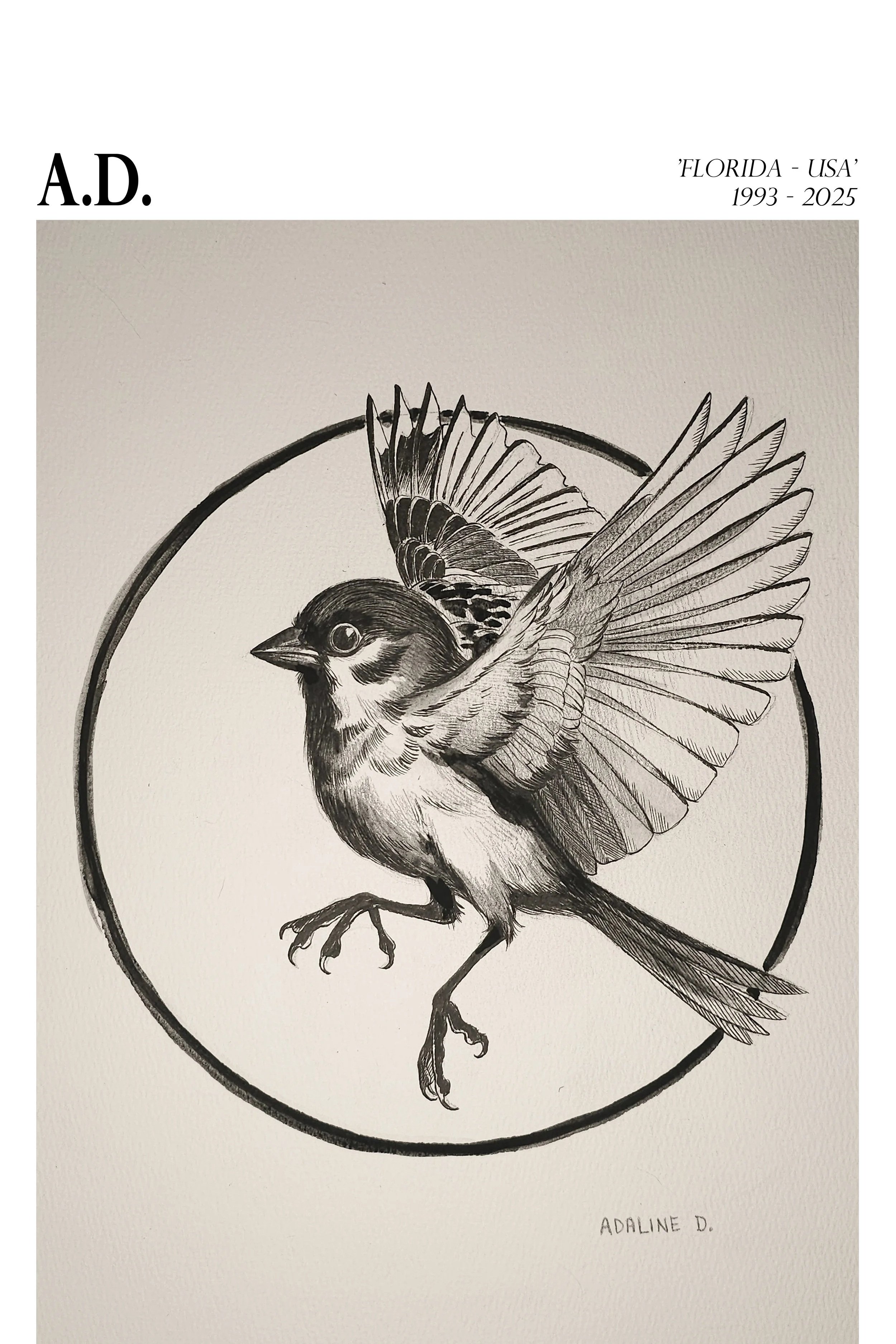 SparrowStudy13x24.jpg