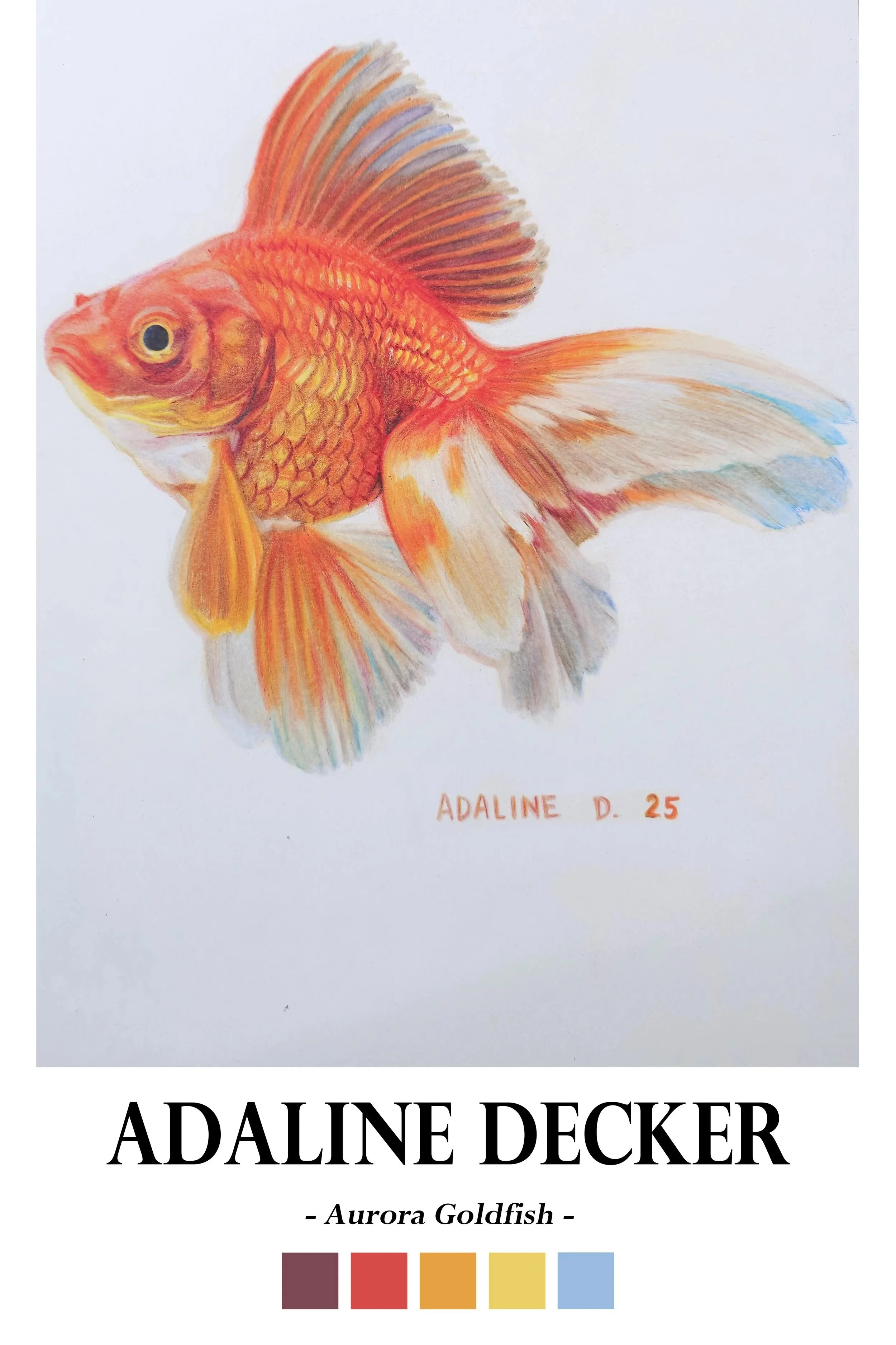 AuroraGoldfish13x24.jpg