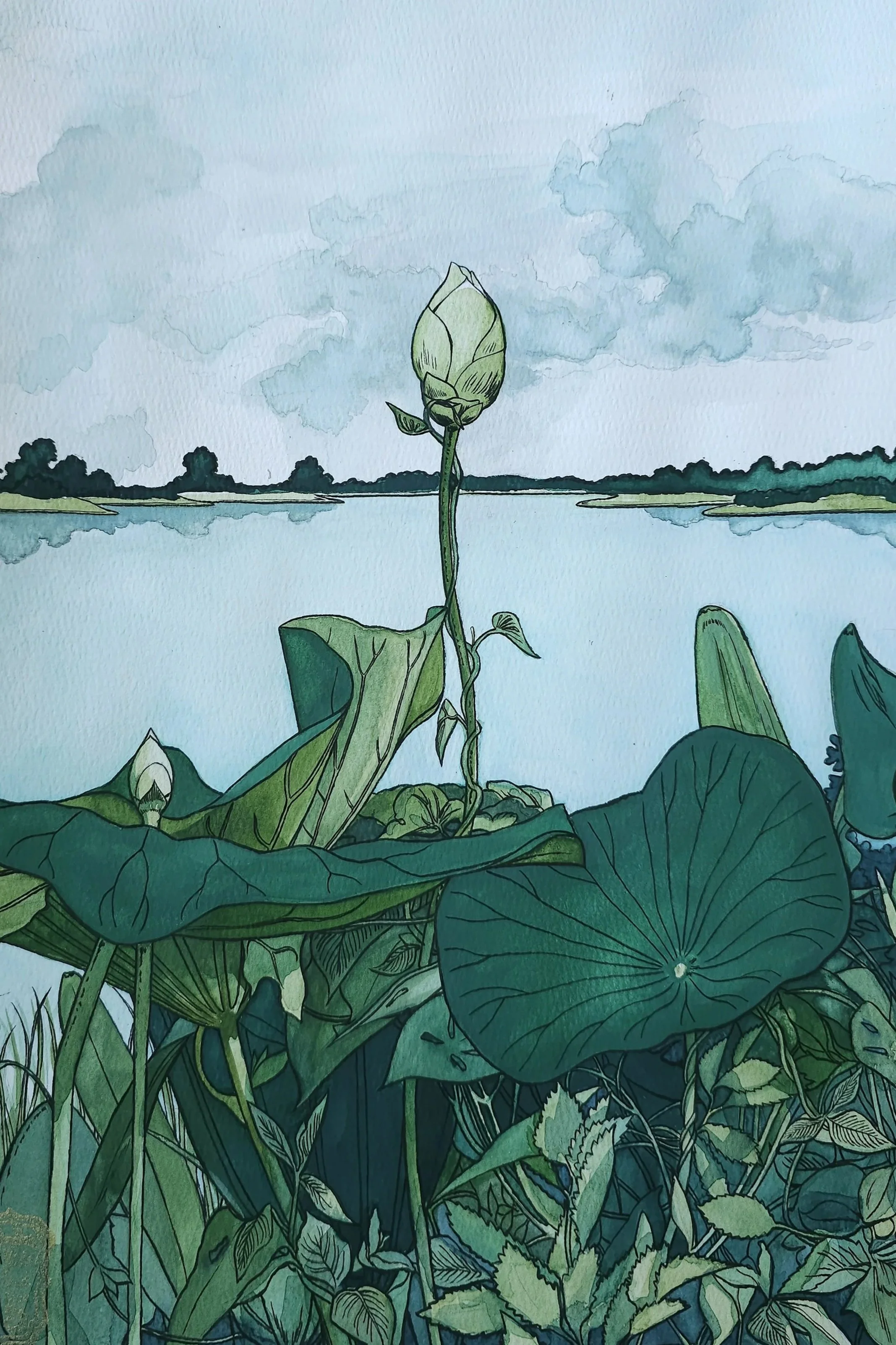 VenetianLotuses13x24.jpg
