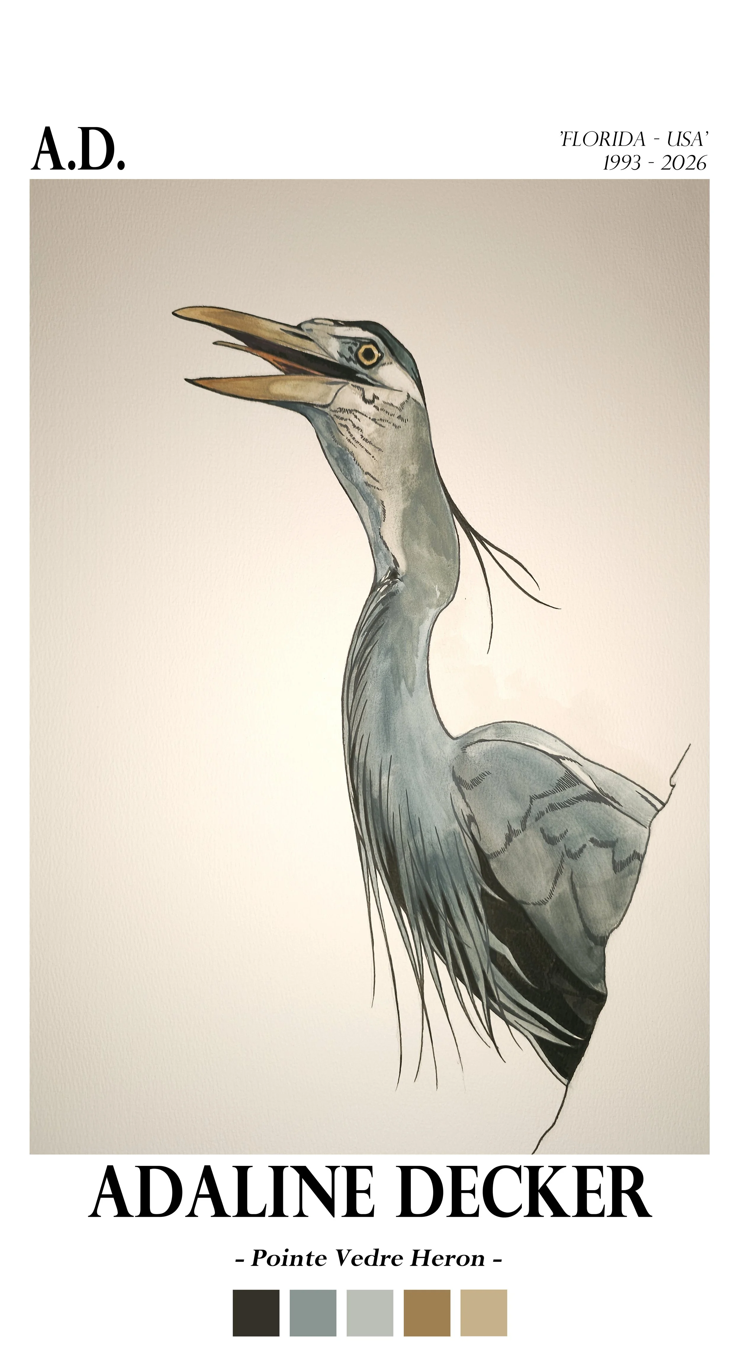 Pointe Vedre Heron - Fine Art Print - 13"x24"