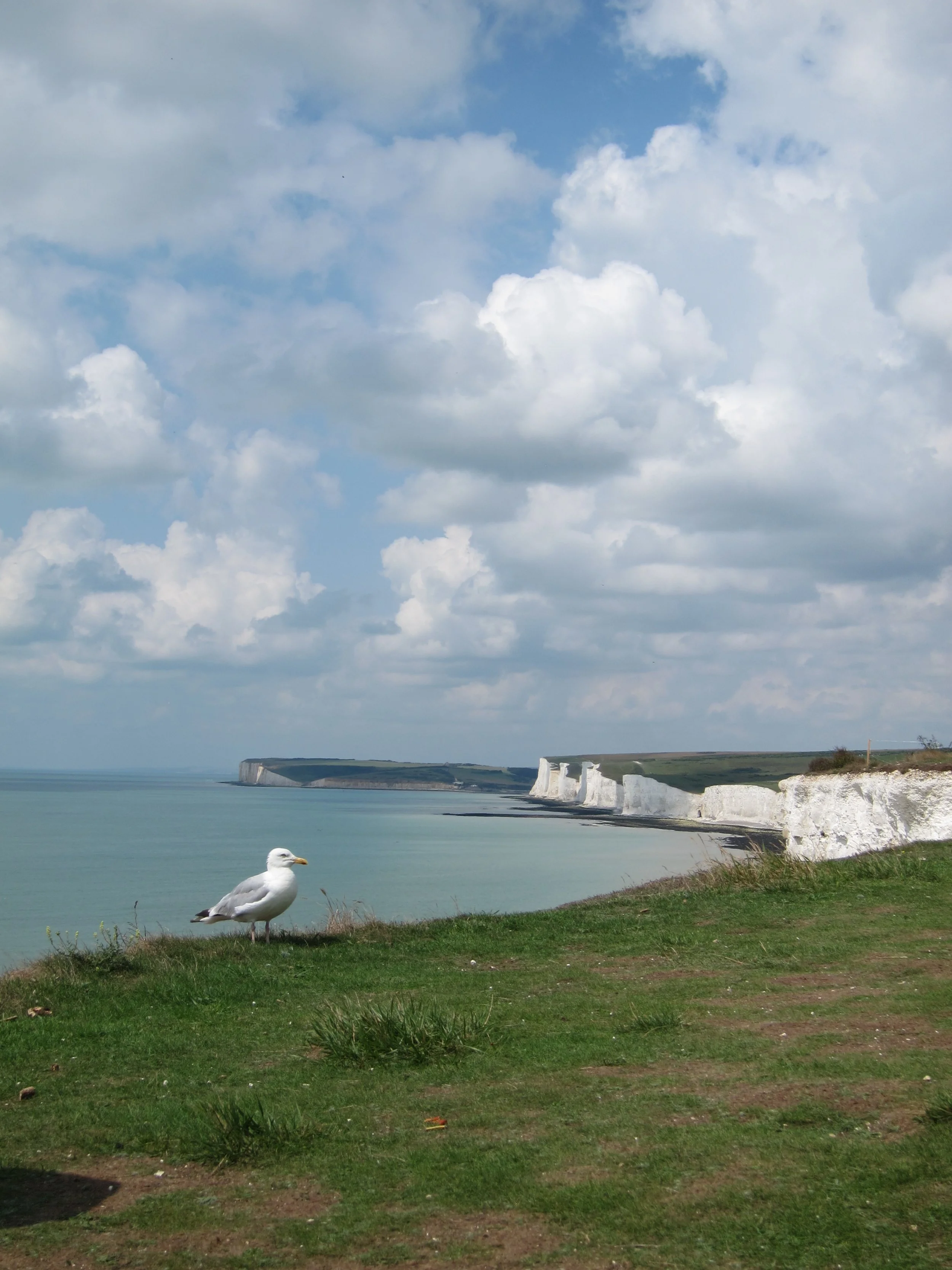IMG_7739.JPG