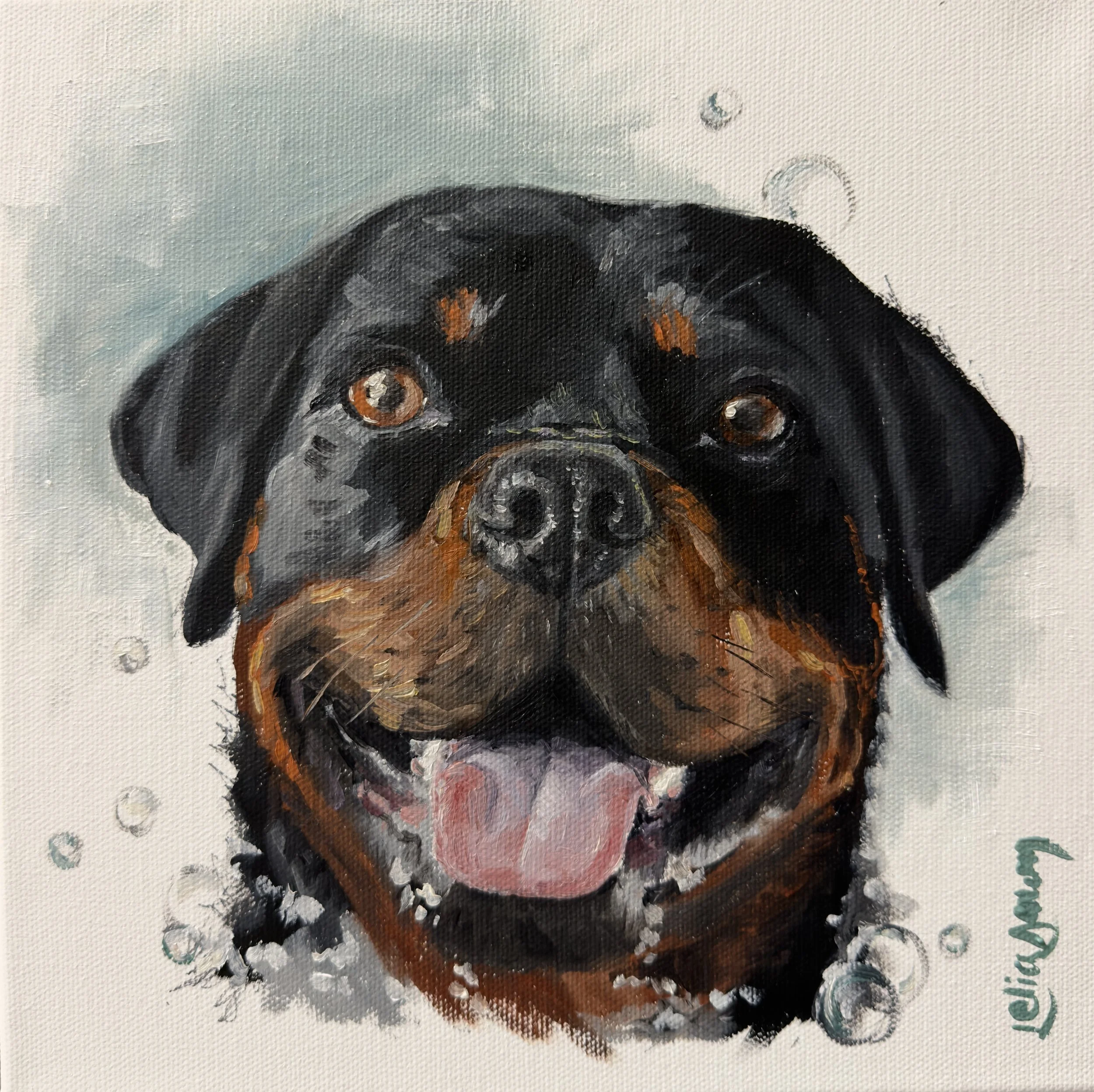 Pet Portraits