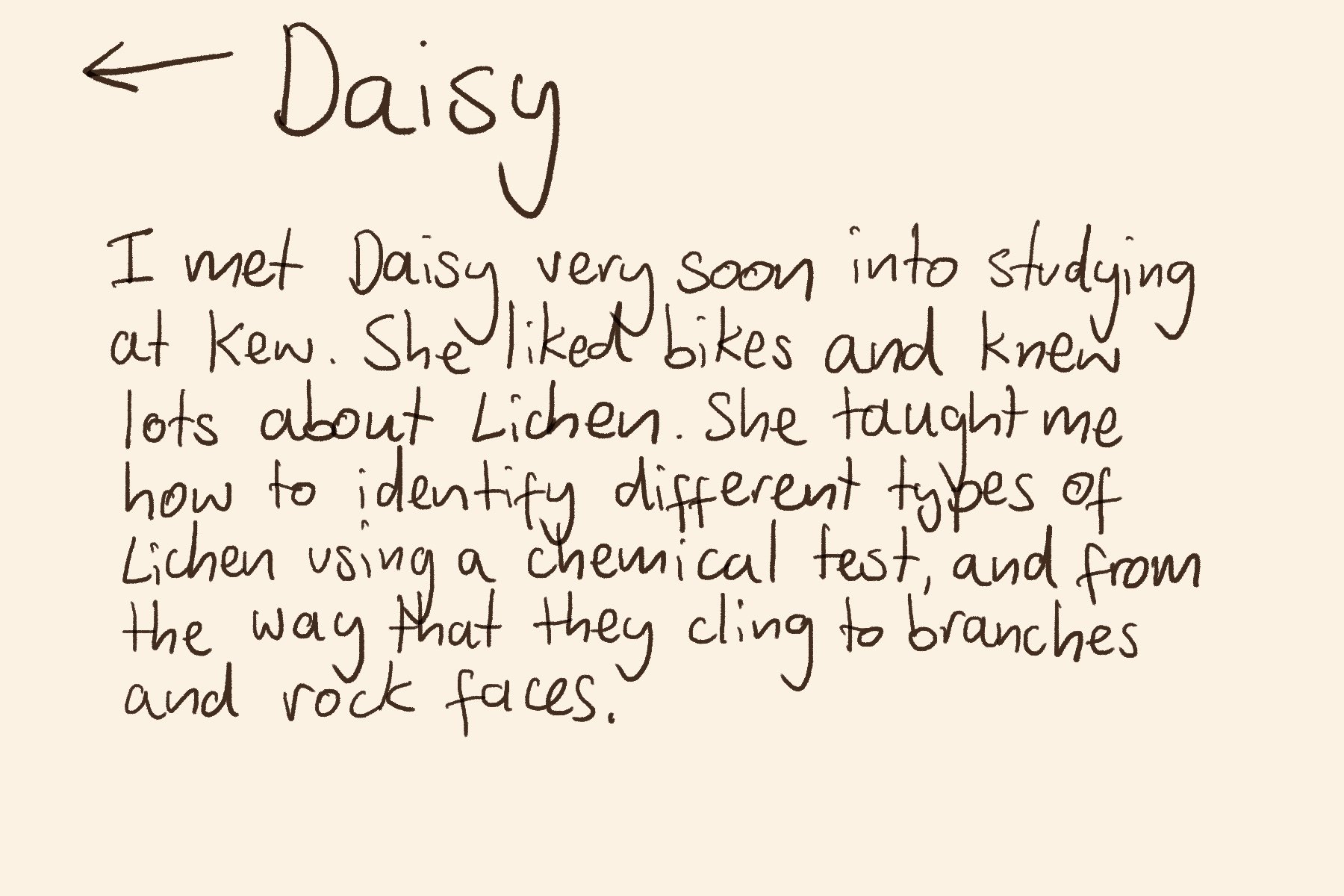 Daisy_text.jpg