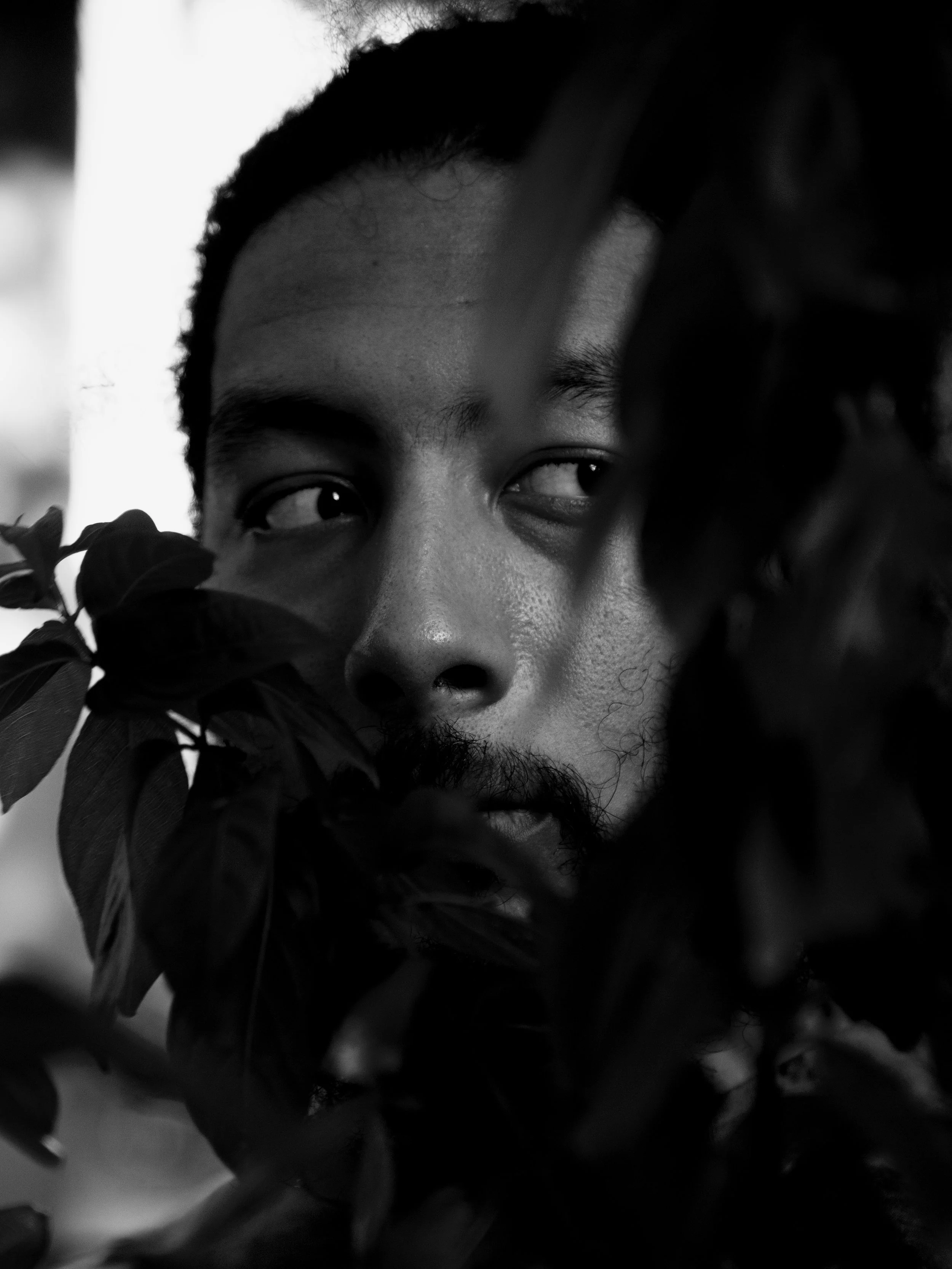 "Hidden Gaze" plays with concealment and revelation. The man's face, partially obscured by foliage, has the intent of privacy, observation, and the unseen. You are invited to question what lies beyond the leaves, both literally and metaphorically, cr