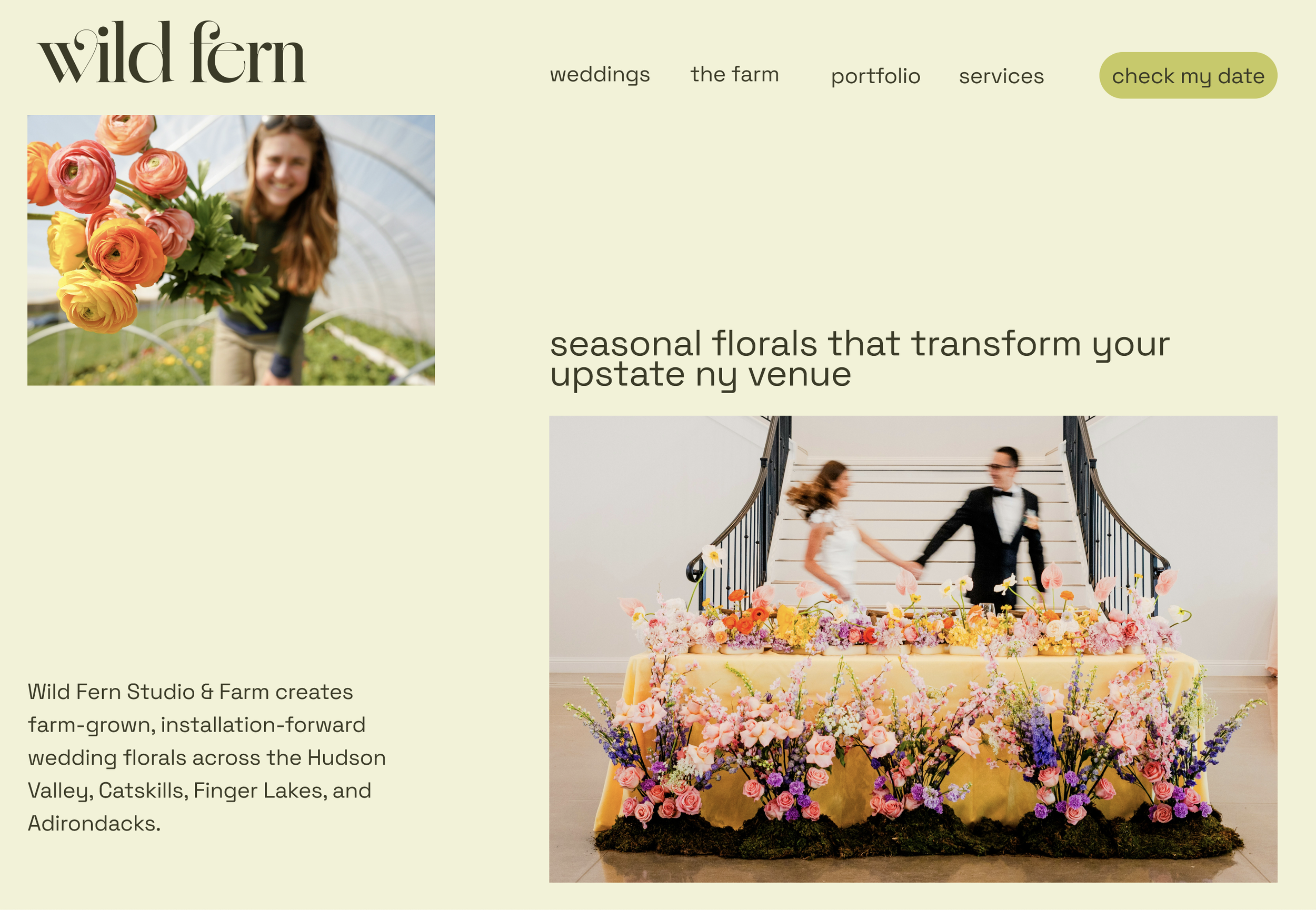 Wild Fern Home Page Design: Hero Section