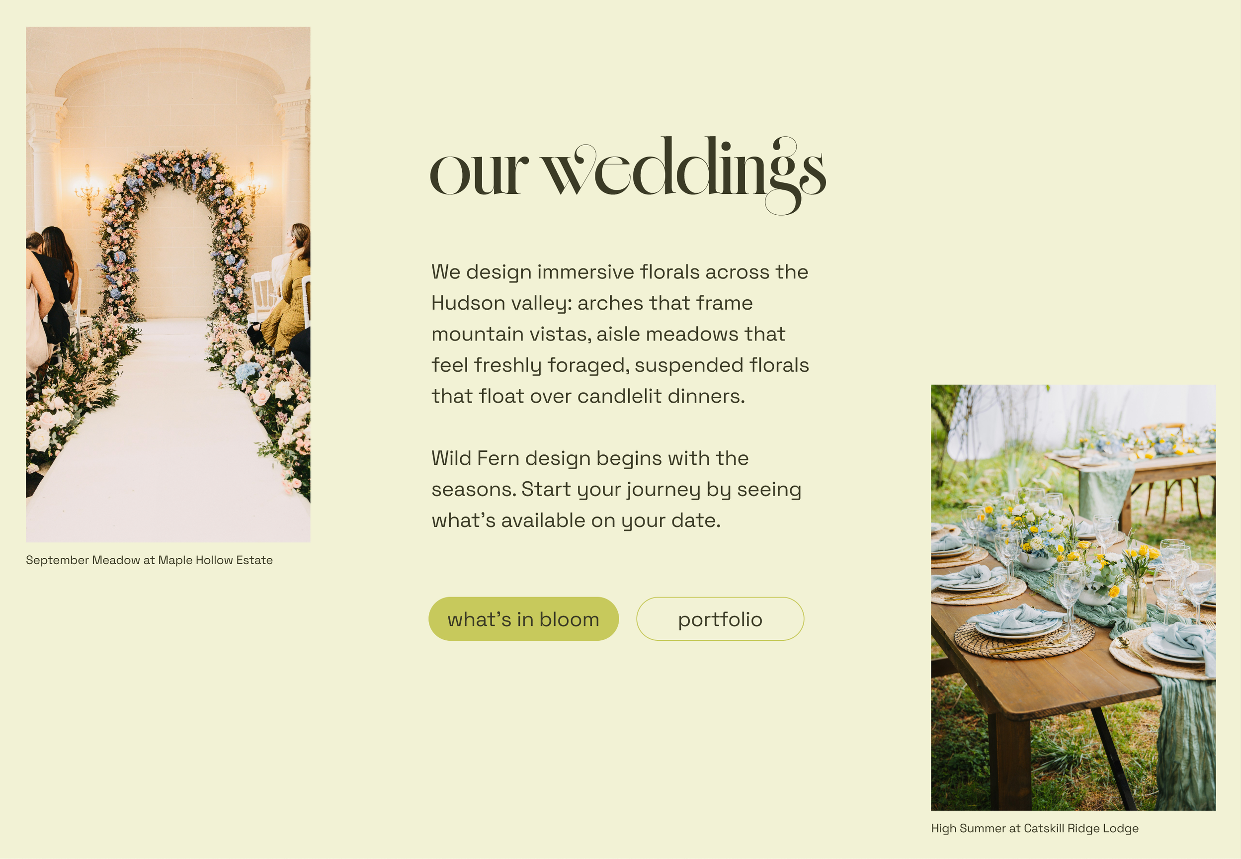 Wild Fern Home Page Design: Weddings Section