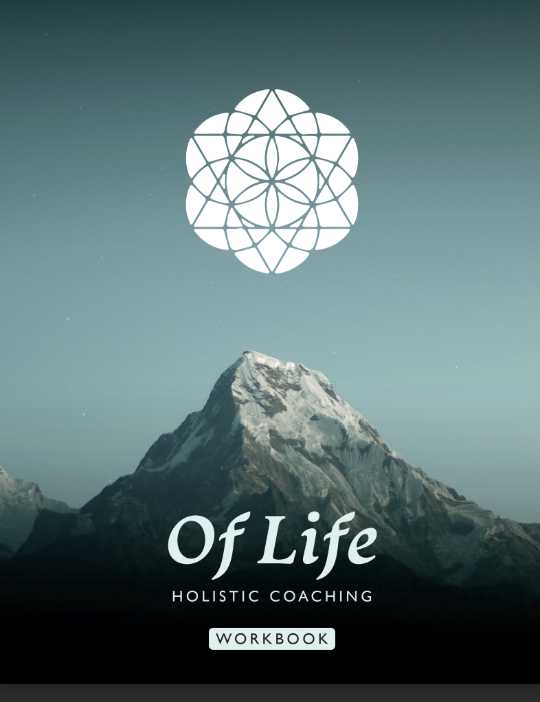 Holistic Lifestyle Interactive Workbook