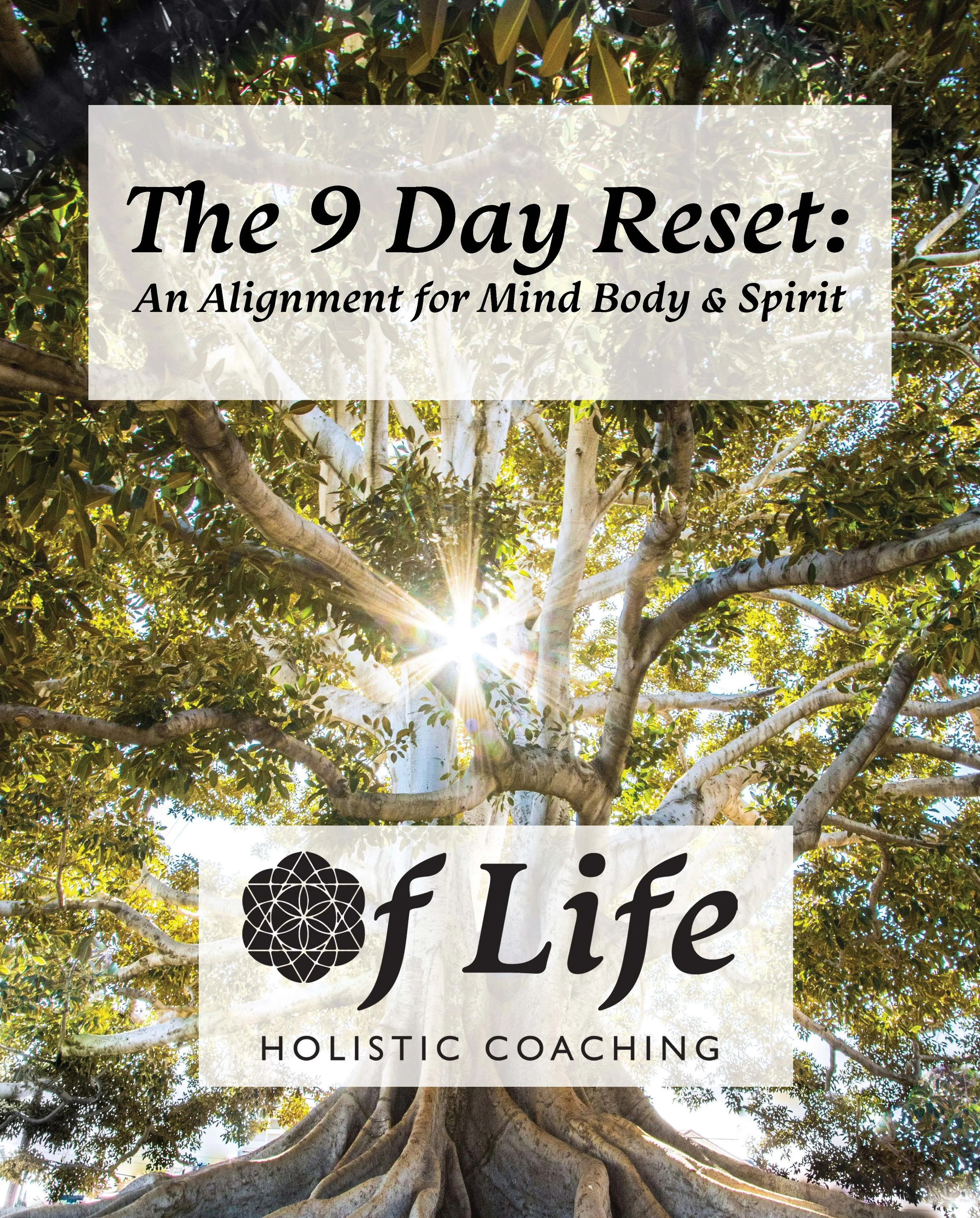 The 9 Day Reset: An Alignment for Mind Body & Spirit