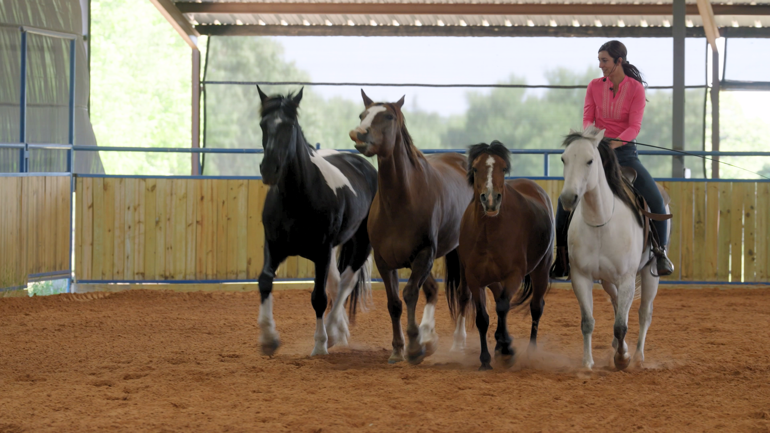 Rescued Hearts Film Still_12.png