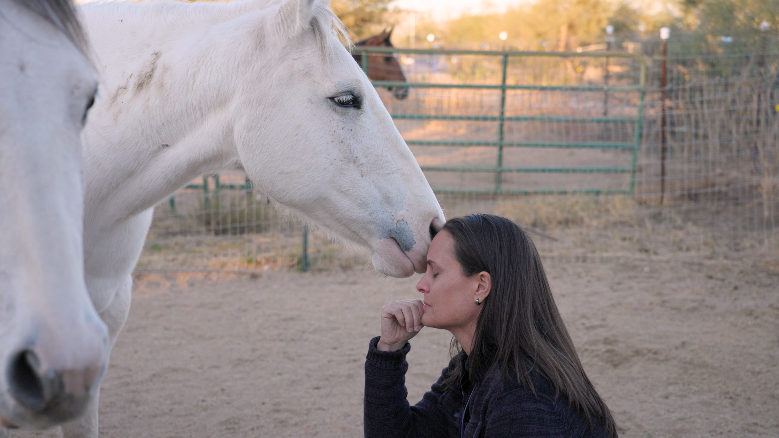 Rescued Hearts Film Still_02.png