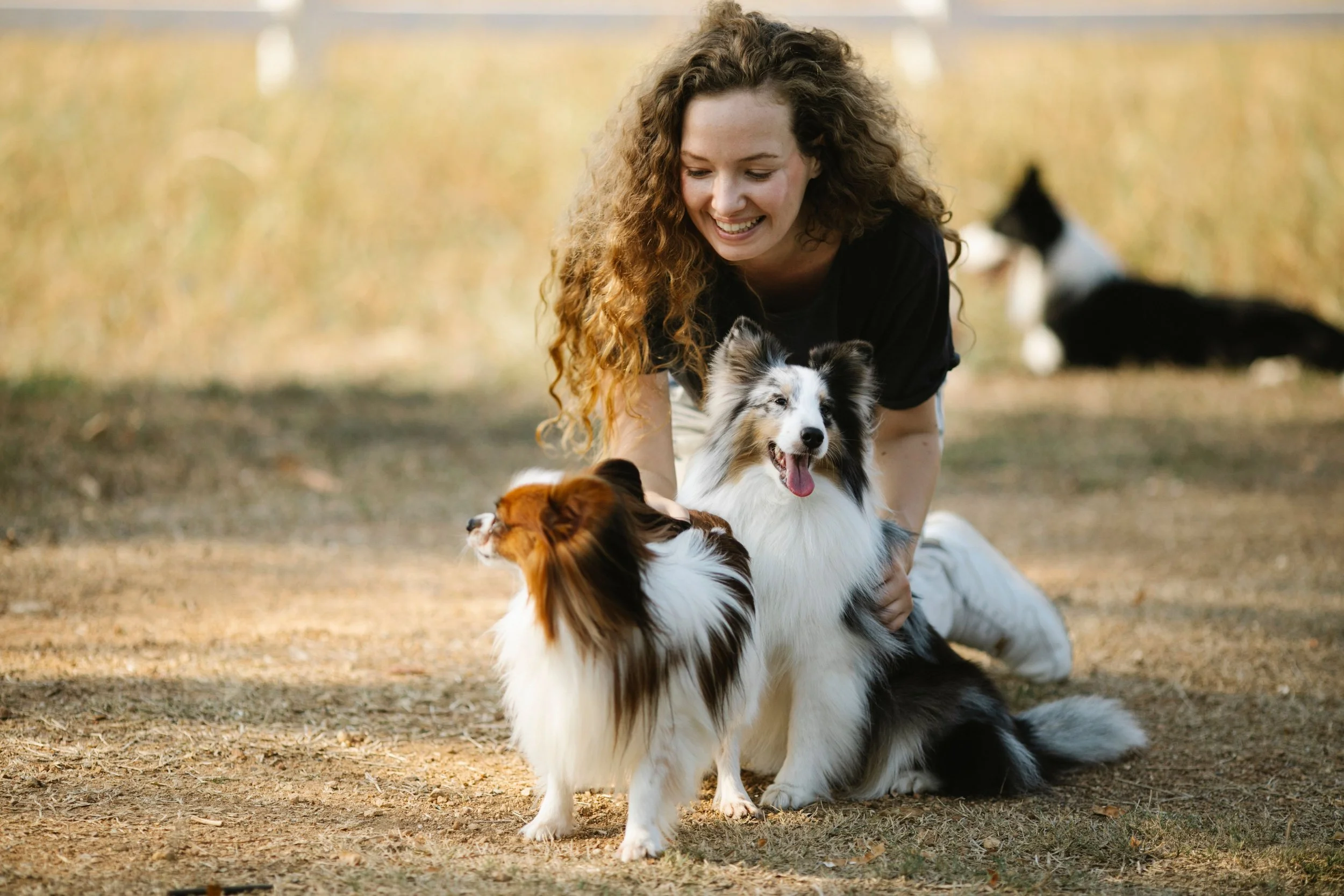 Payroll for Pet Care Businesses: Veterinarians, Groomers &amp; Animal Care Professionals