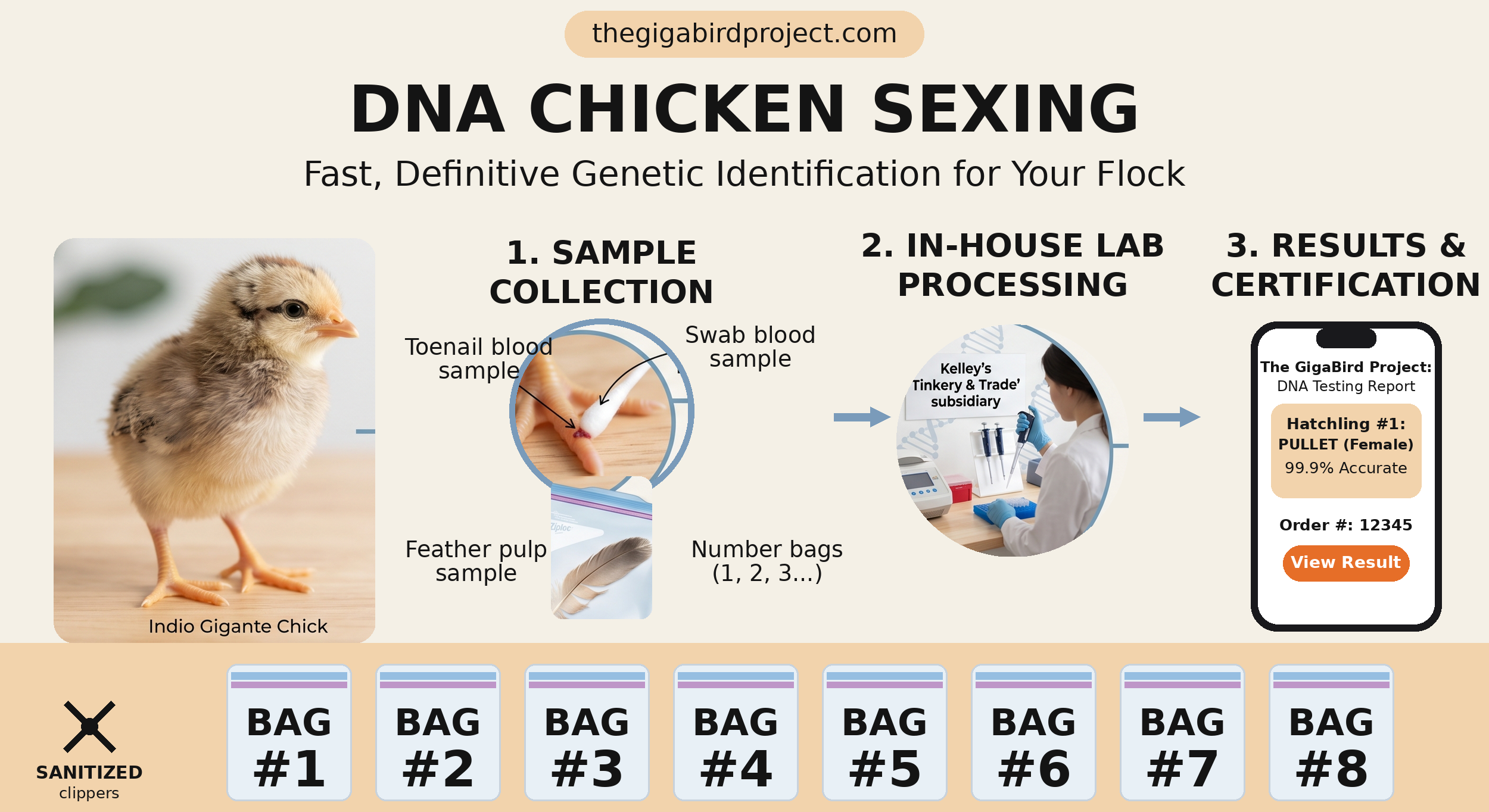 dna-infographic-fixed.png