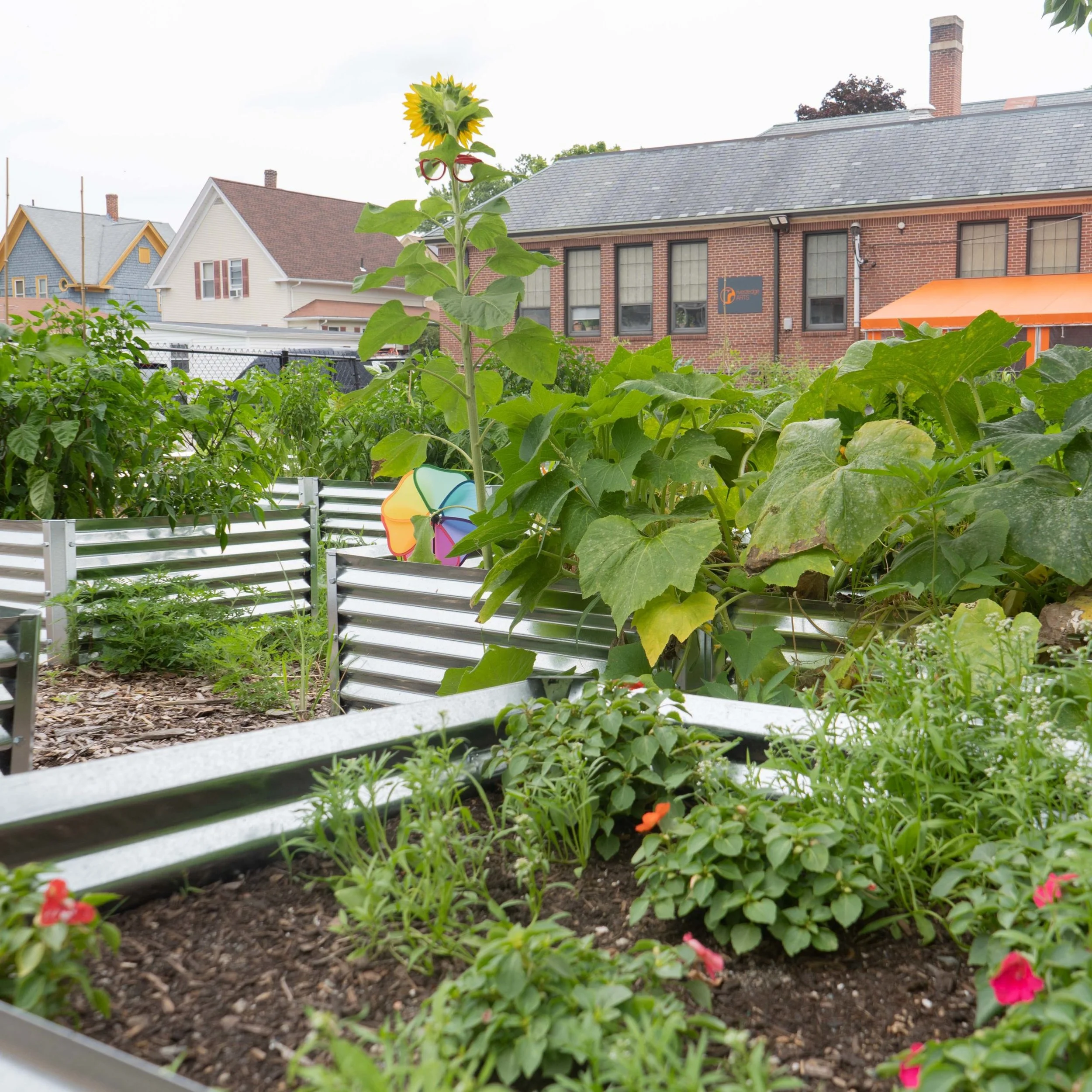 Riverzedge Arts Grows Gardening Community with Community Garden