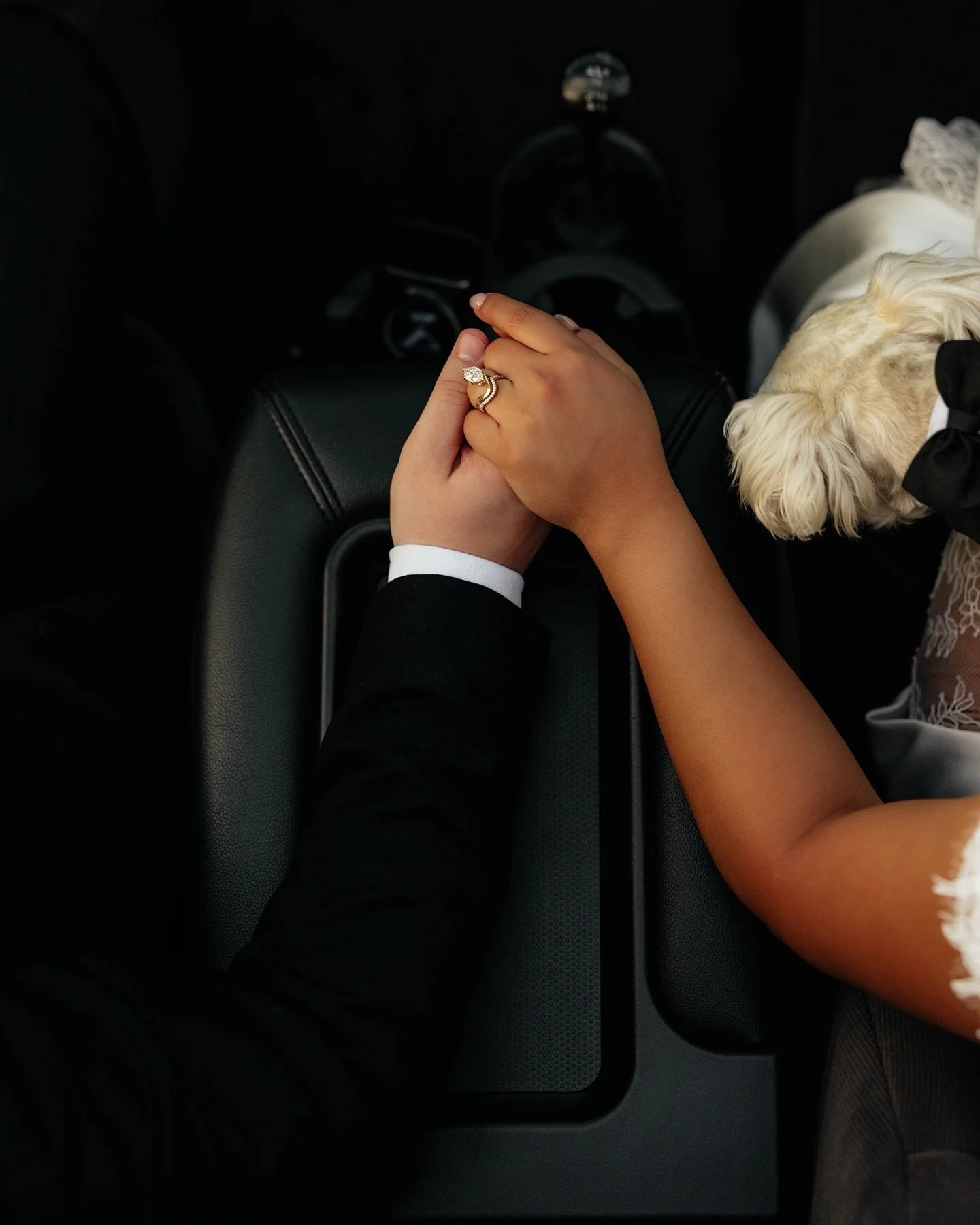 The dog was a paid actor🤍🐾