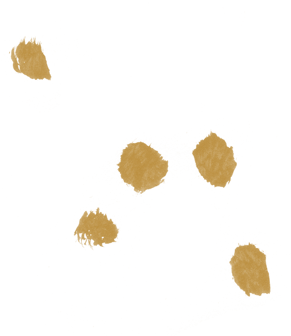 gold paint daubs